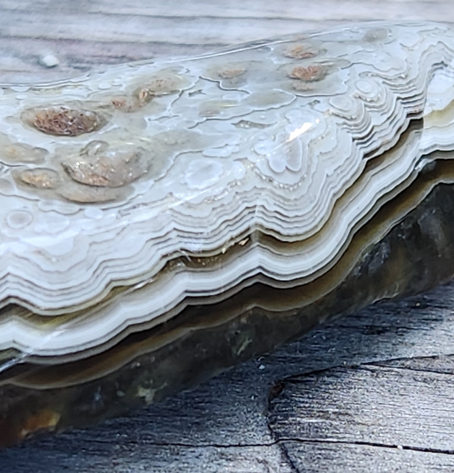 Tumbled Crazy Lace Agate, Self Tumbled, Item TA359