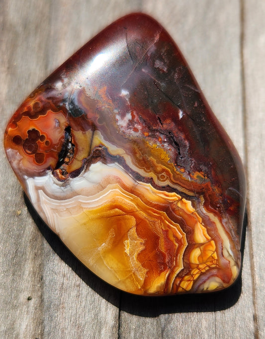 Tumbled Crazy Lace Agate, Self Tumbled, Item TA369