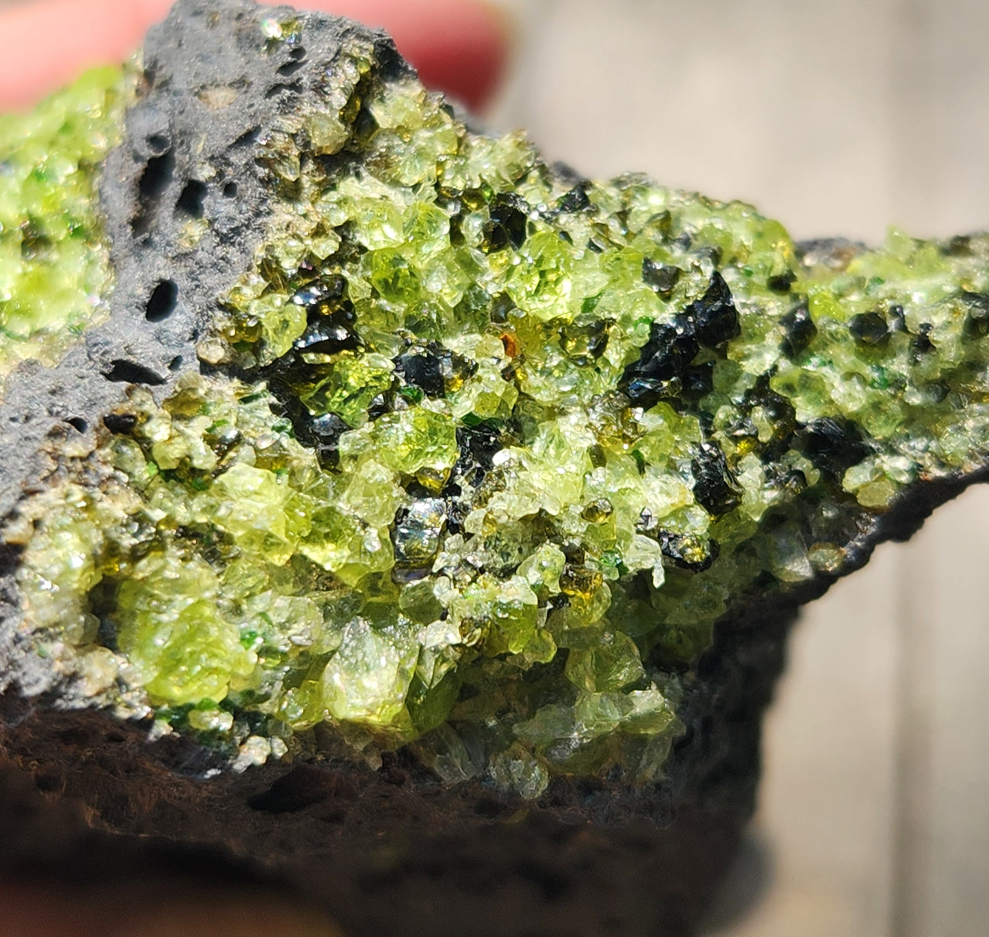Peridot Olivine on Basalt Specimen ItemSP375