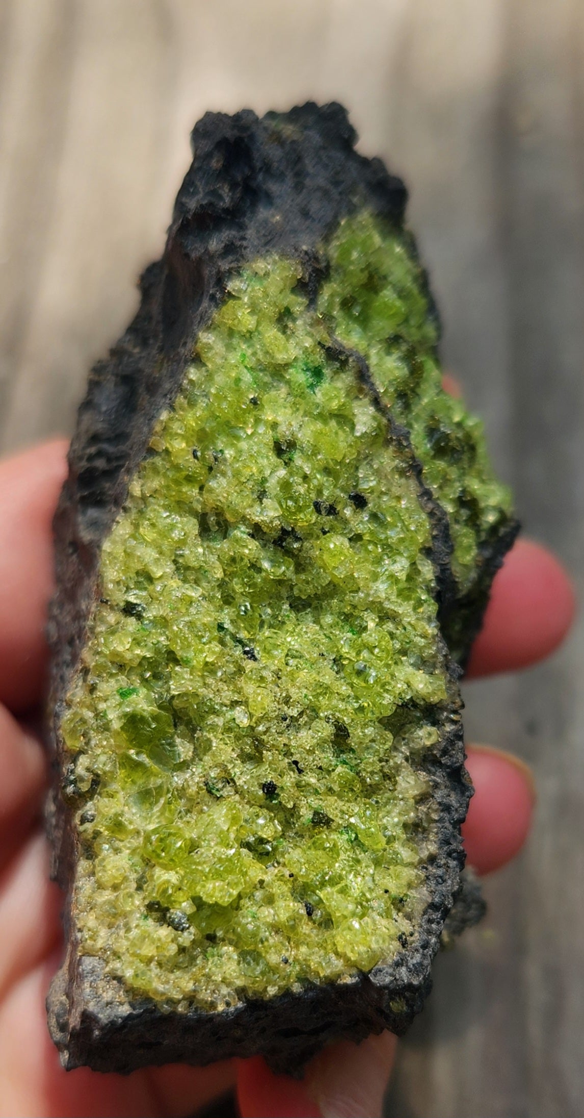 Peridot Olivine on Basalt Specimen ItemSP378