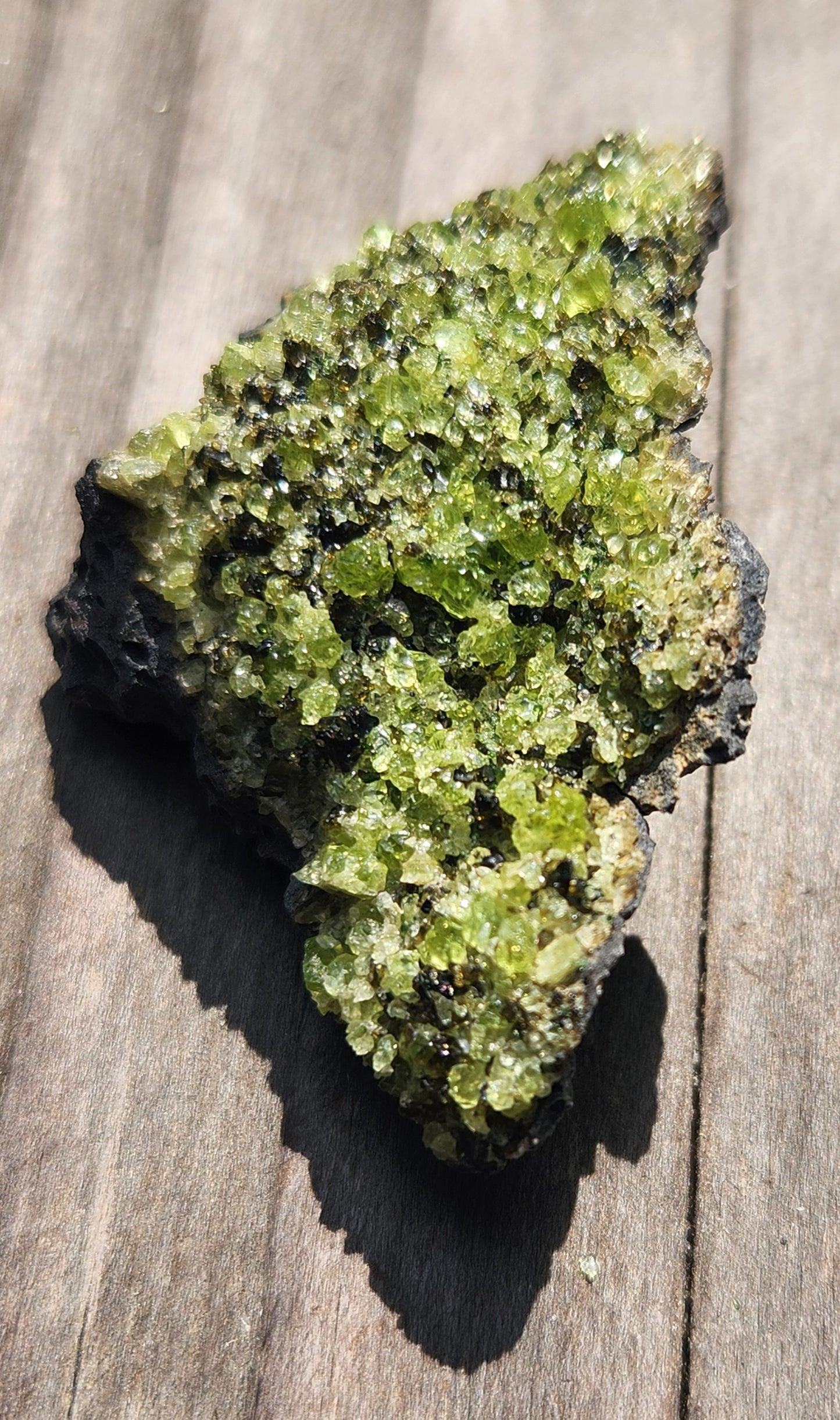 Peridot Olivine on Basalt Specimen ItemSP381
