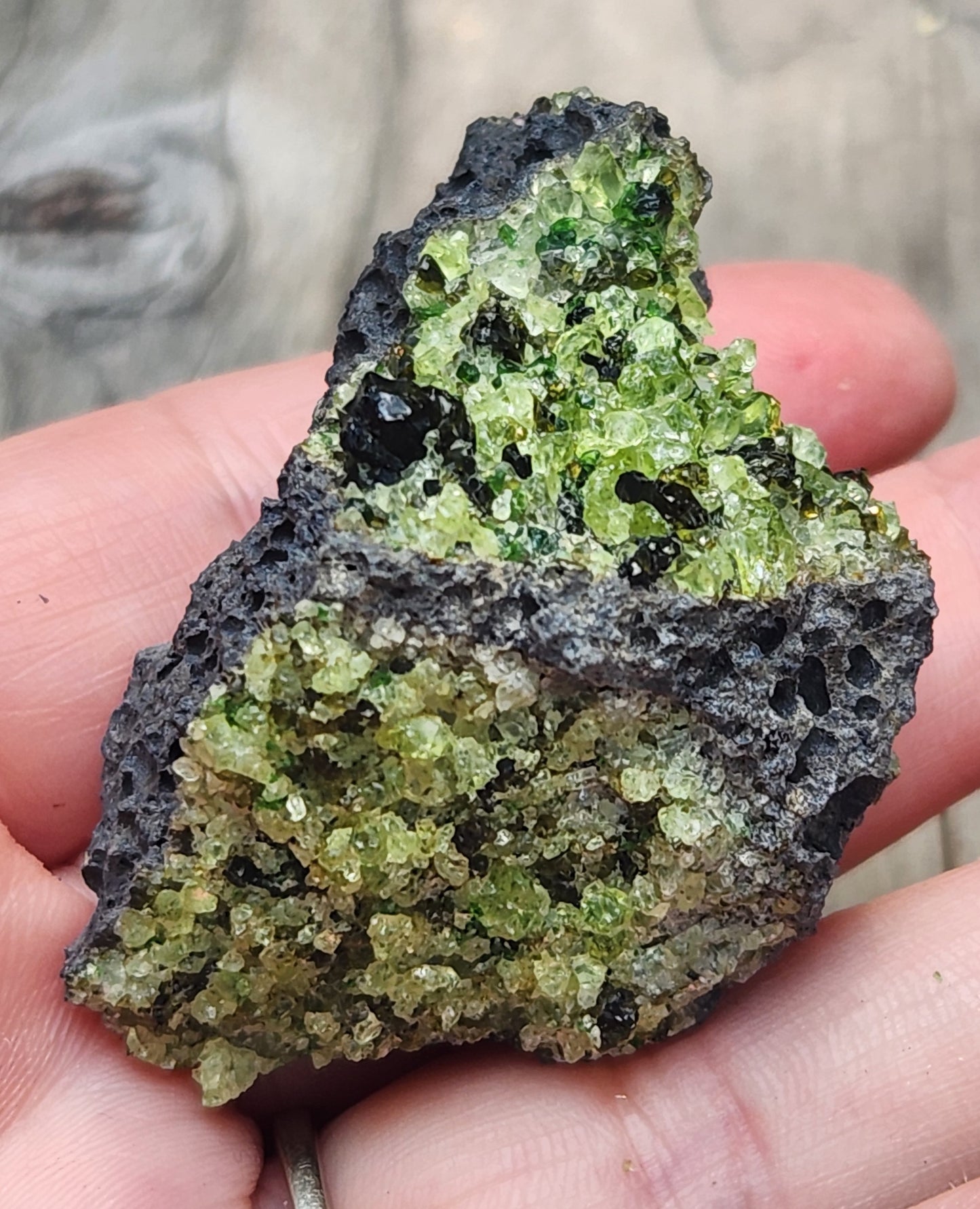 Peridot Olivine on Basalt Specimen ItemSP382
