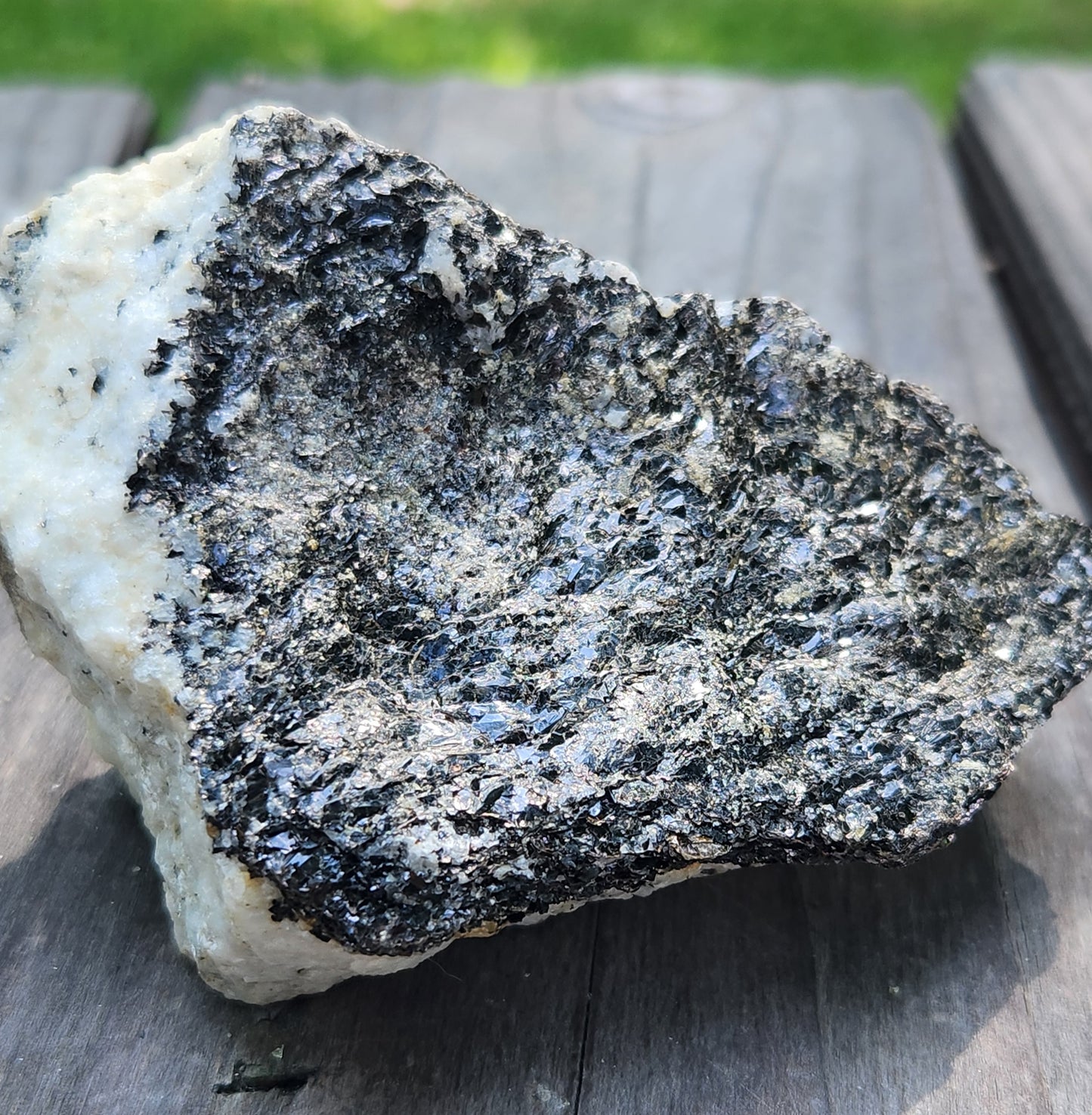 Biotite Mica on Matrix Specimen , Self Collected ItemSP383