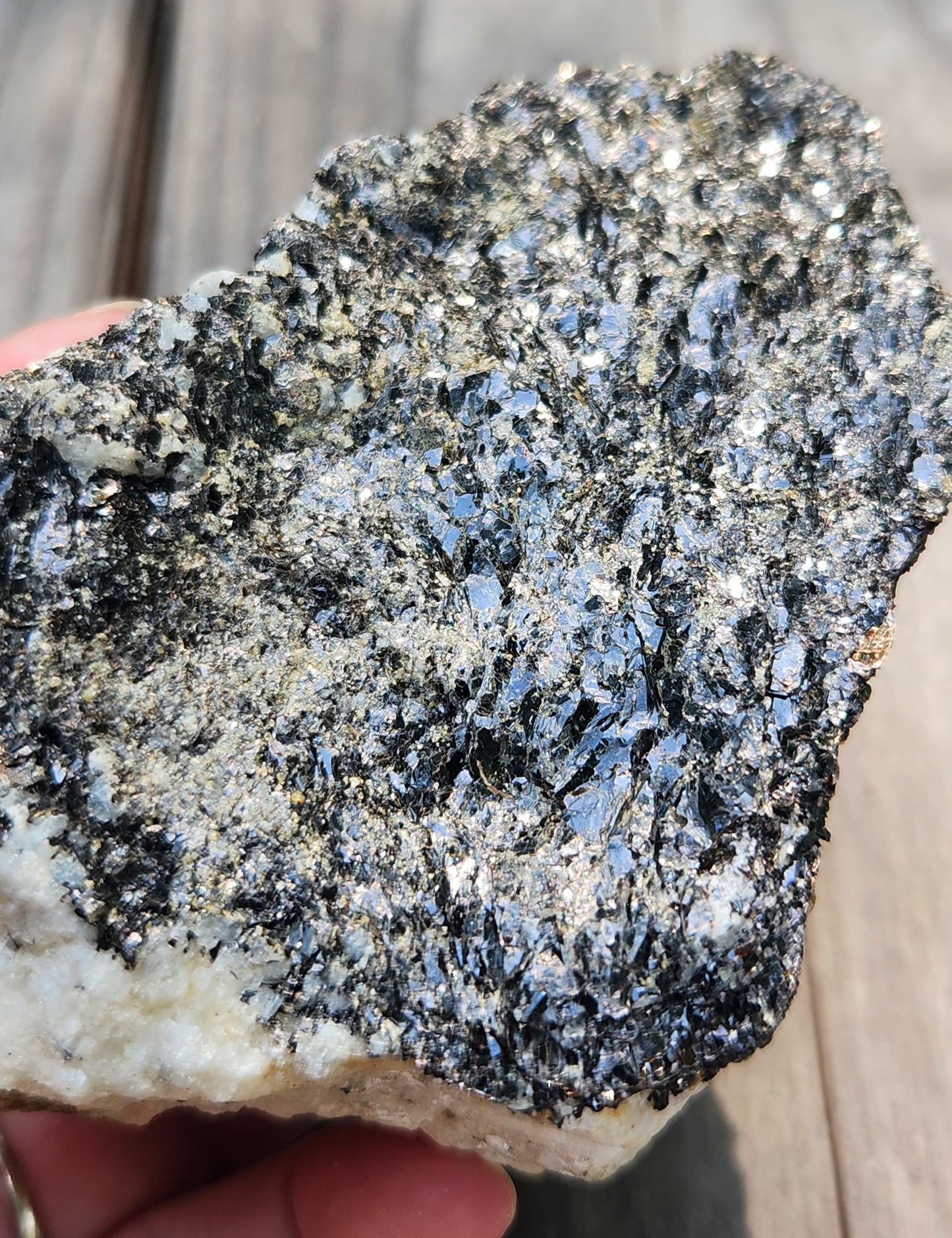 Biotite Mica on Matrix Specimen , Self Collected ItemSP383