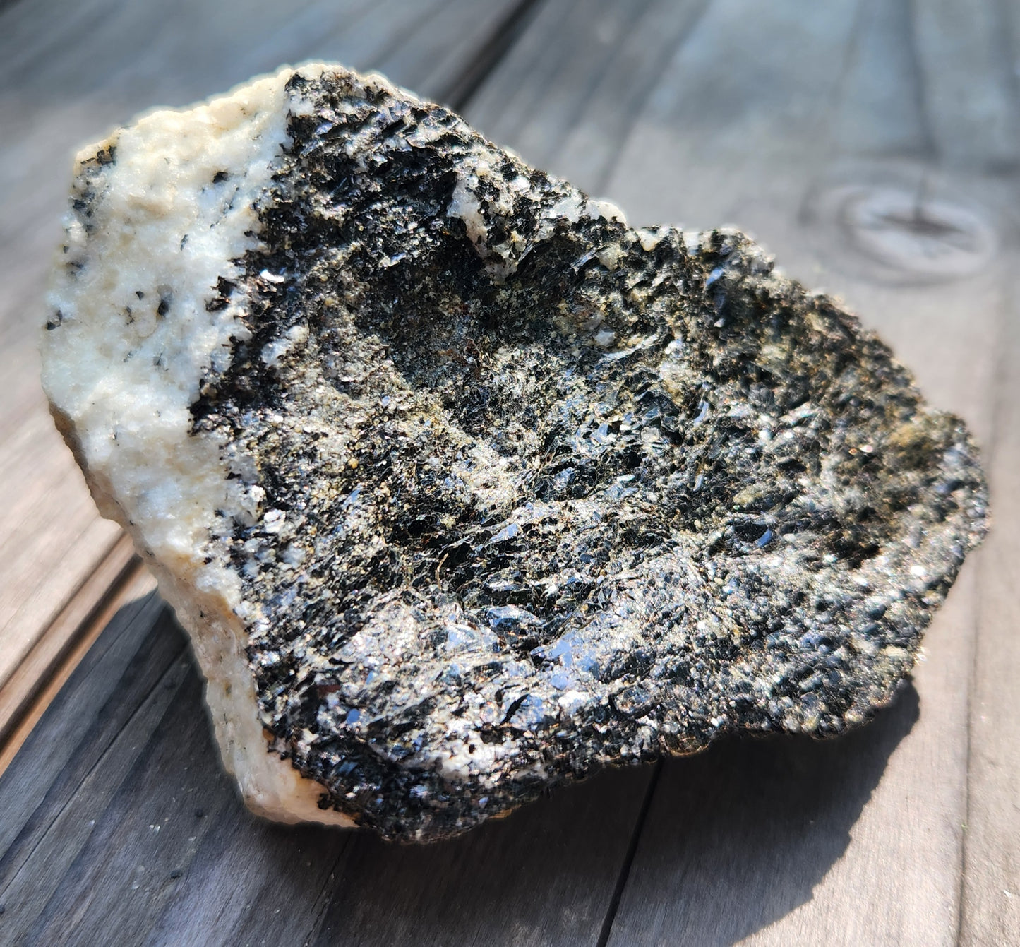 Biotite Mica on Matrix Specimen , Self Collected ItemSP383