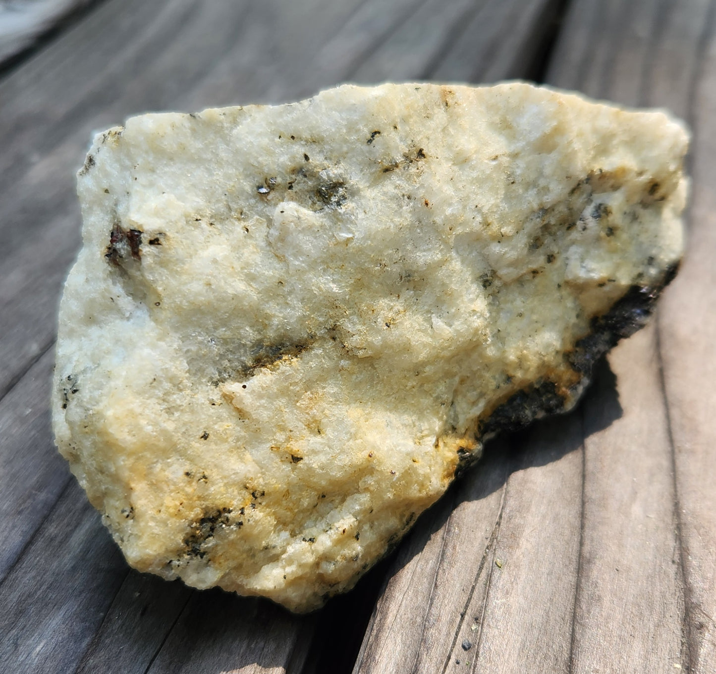 Biotite Mica on Matrix Specimen , Self Collected ItemSP383