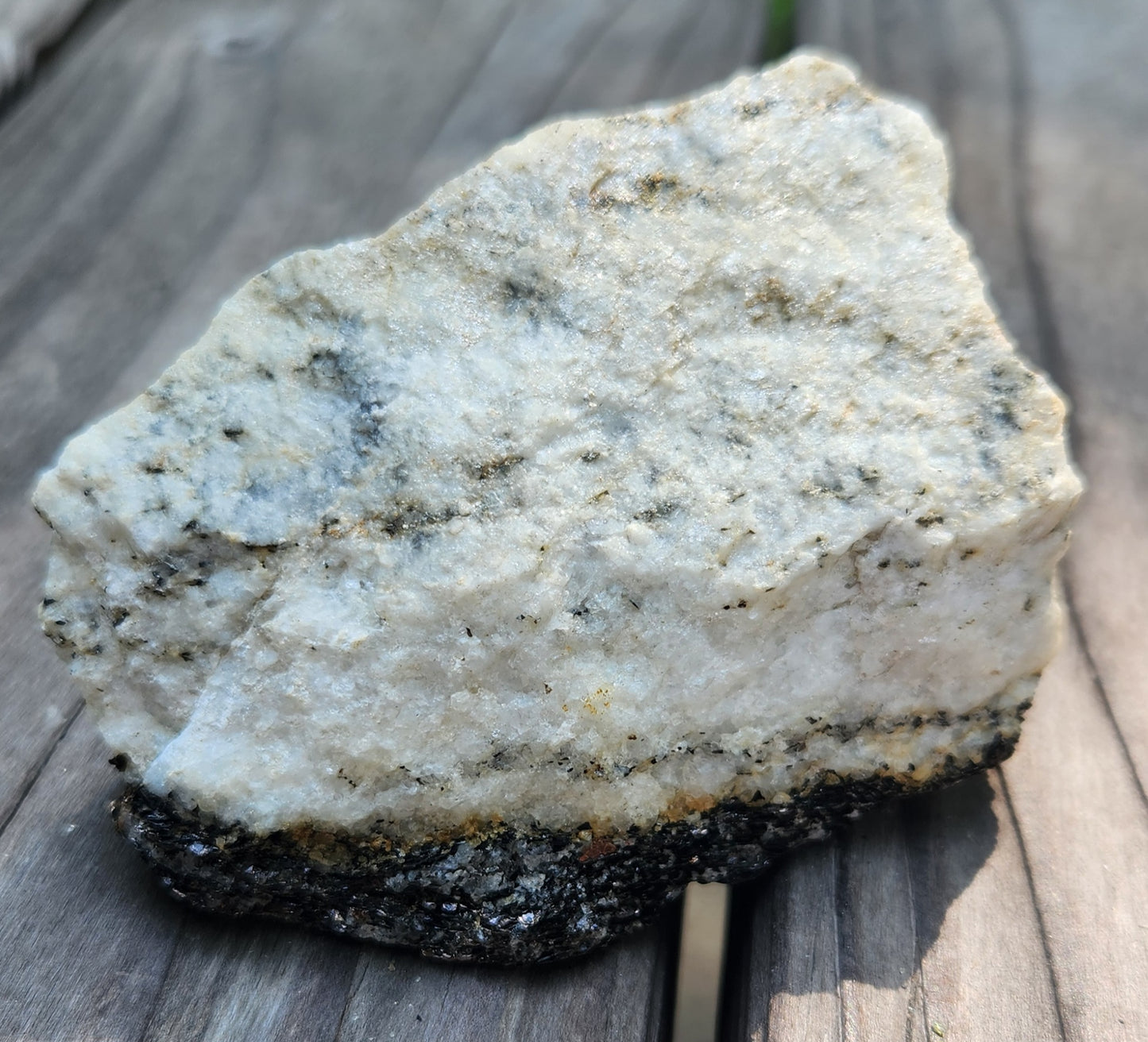 Biotite Mica on Matrix Specimen , Self Collected ItemSP383