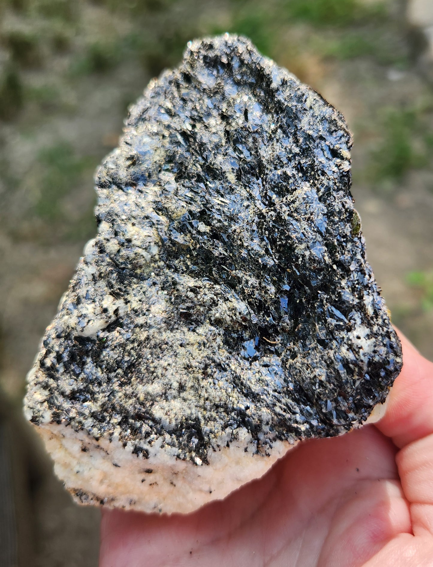 Biotite Mica on Matrix Specimen , Self Collected ItemSP383