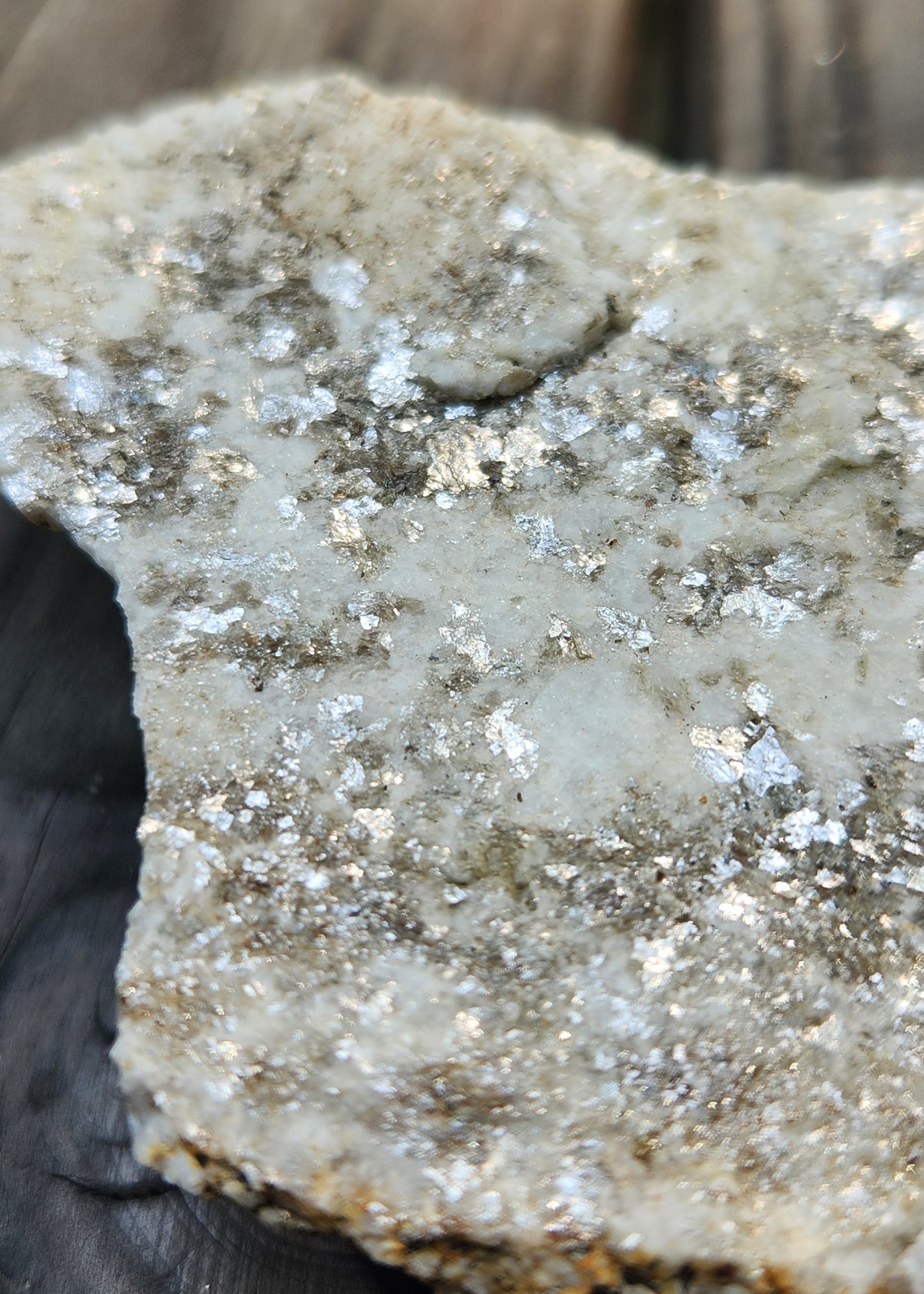 Muscovite Mica on Matrix Specimen , Self Collected ItemSP384