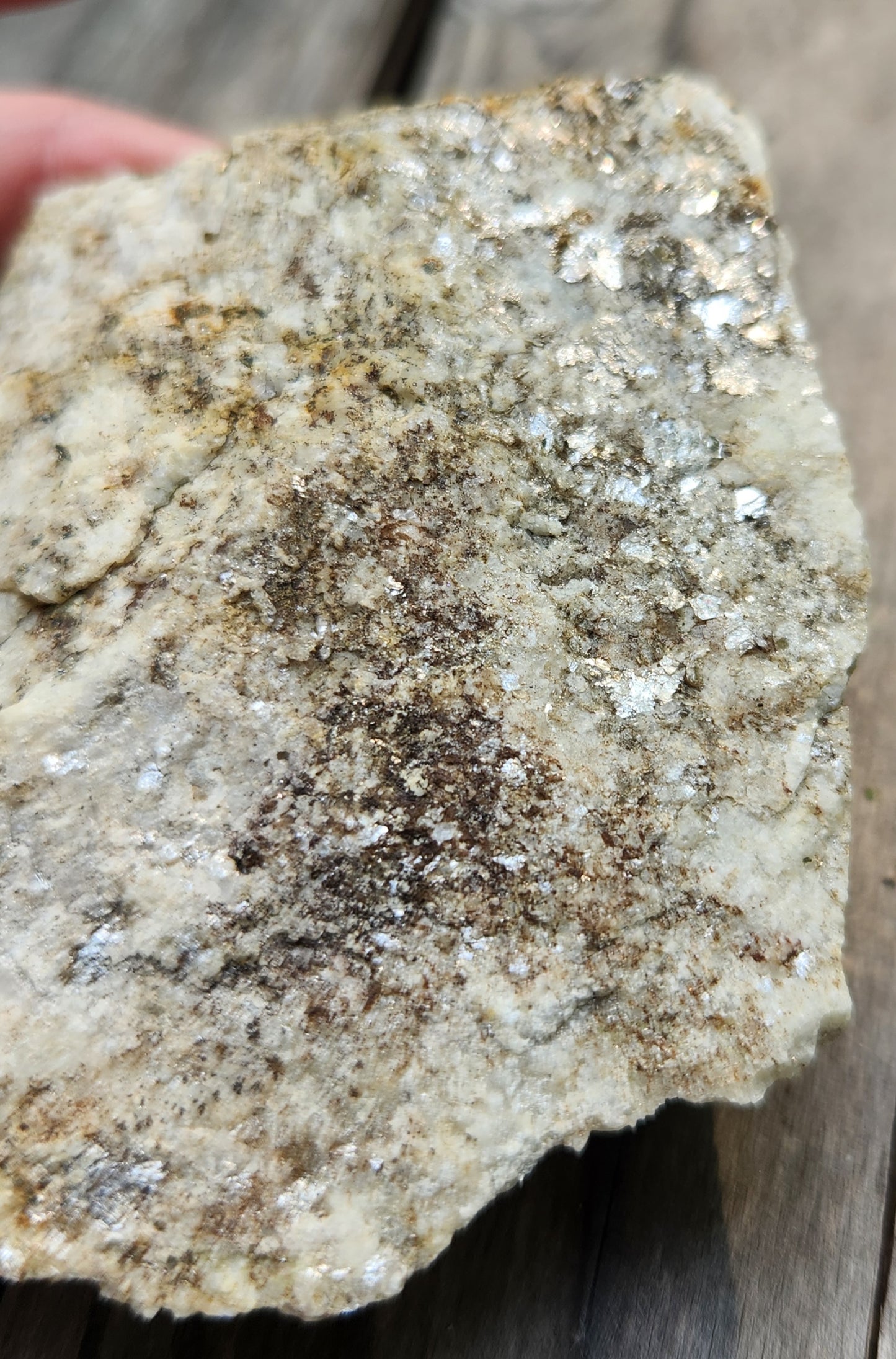 Muscovite Mica on Matrix Specimen , Self Collected ItemSP384