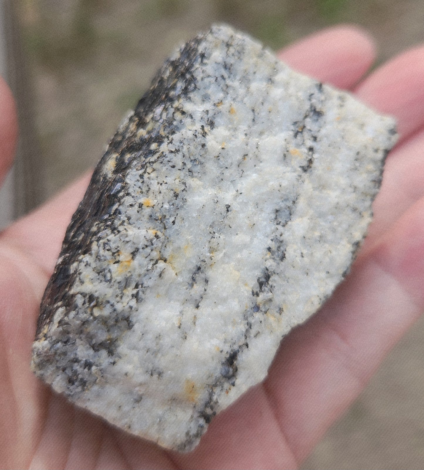 Biotite Mica on Matrix Specimen , Self Collected ItemSP385