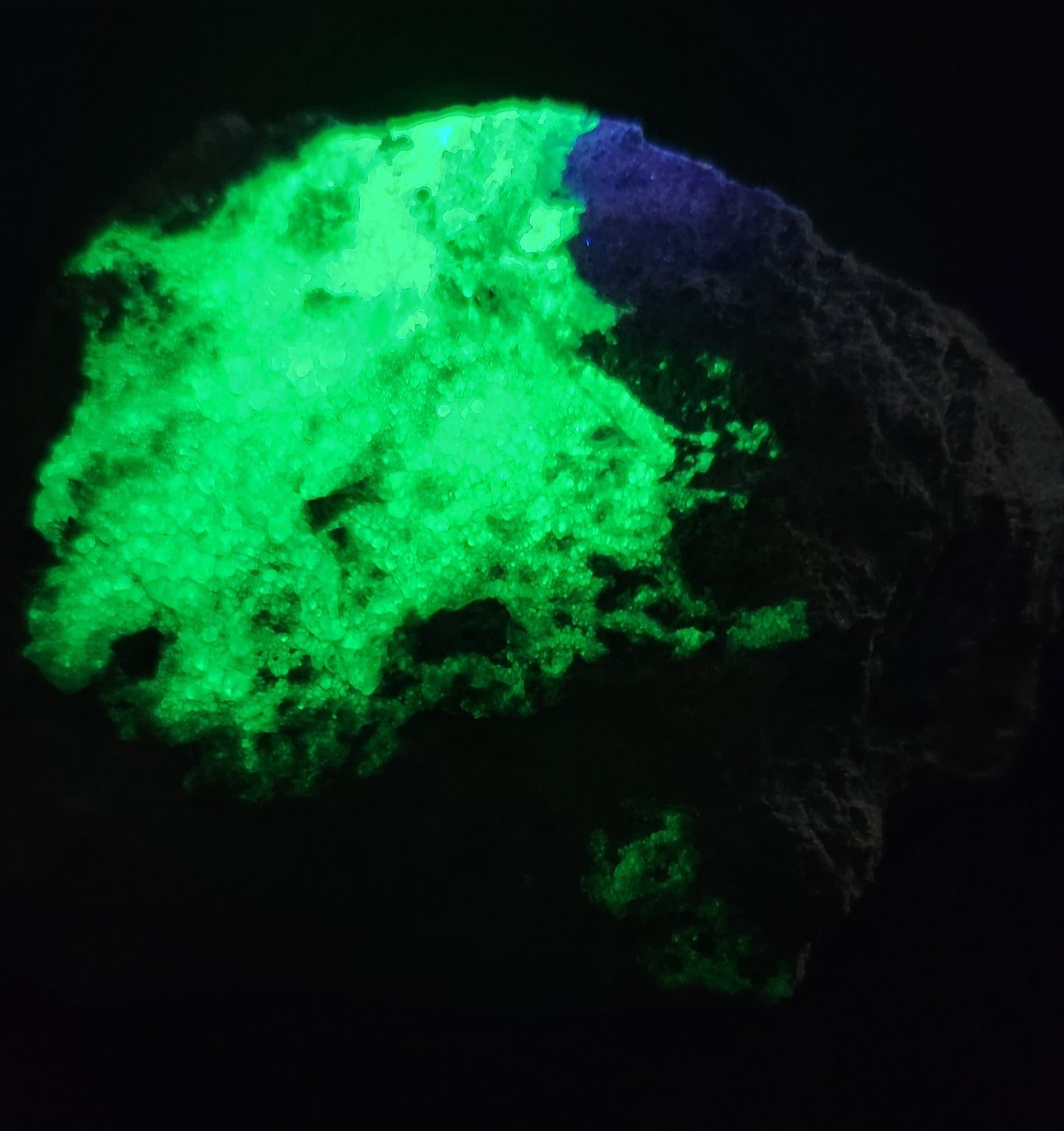Botryoidal Hyalite Opal Specimen From Utah Highly UV Reactive Item SP397