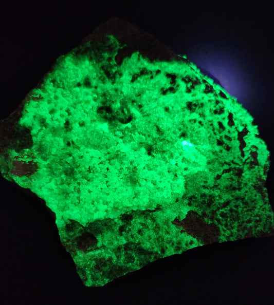 Botryoidal Hyalite Opal Specimen From Utah Highly UV Reactive Item SP403