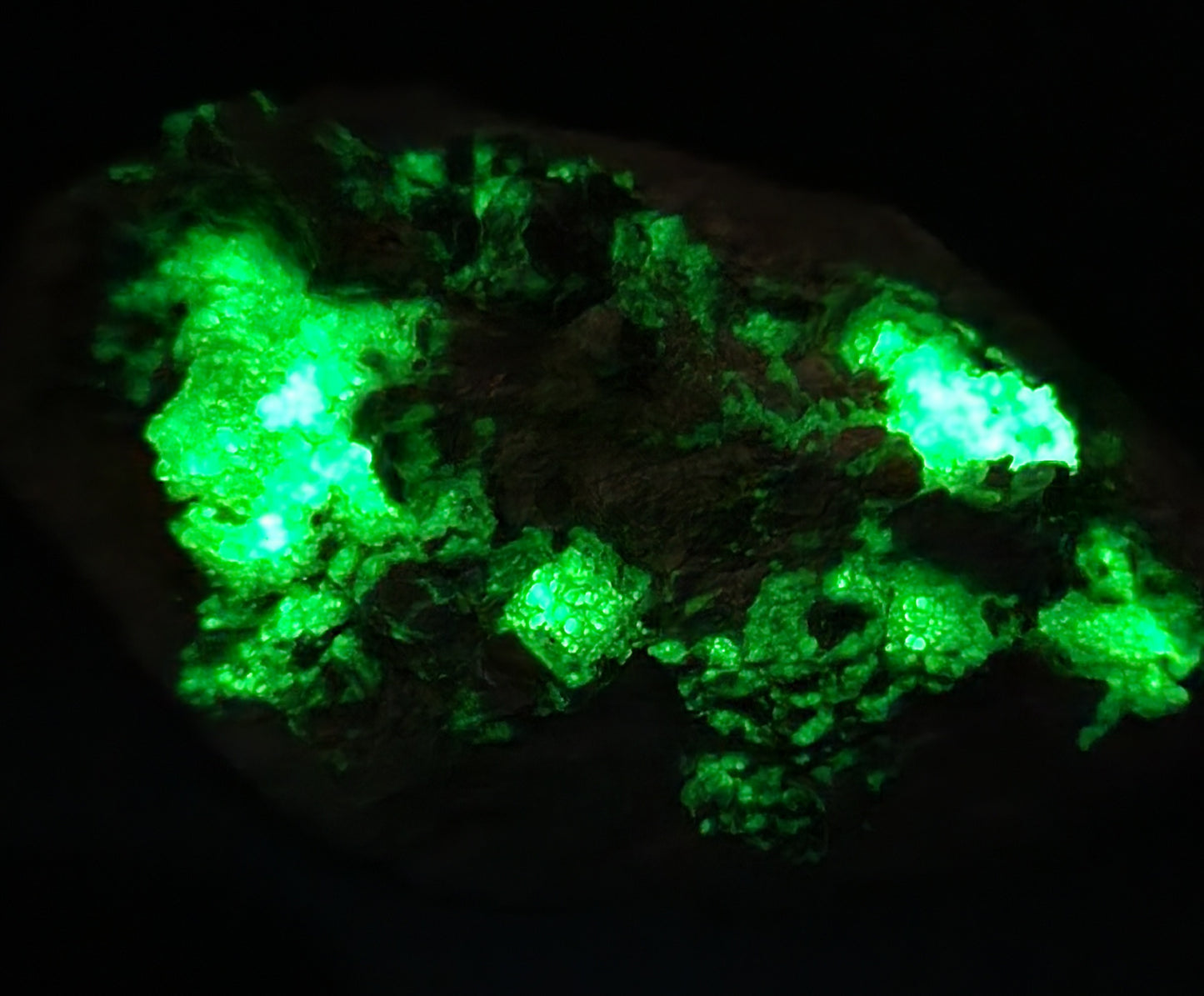 Botryoidal Hyalite Opal Specimen From Utah Highly UV Reactive Item SP407