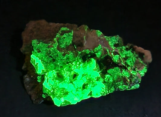 Botryoidal Hyalite Opal Specimen From Utah Highly UV Reactive Item SP411
