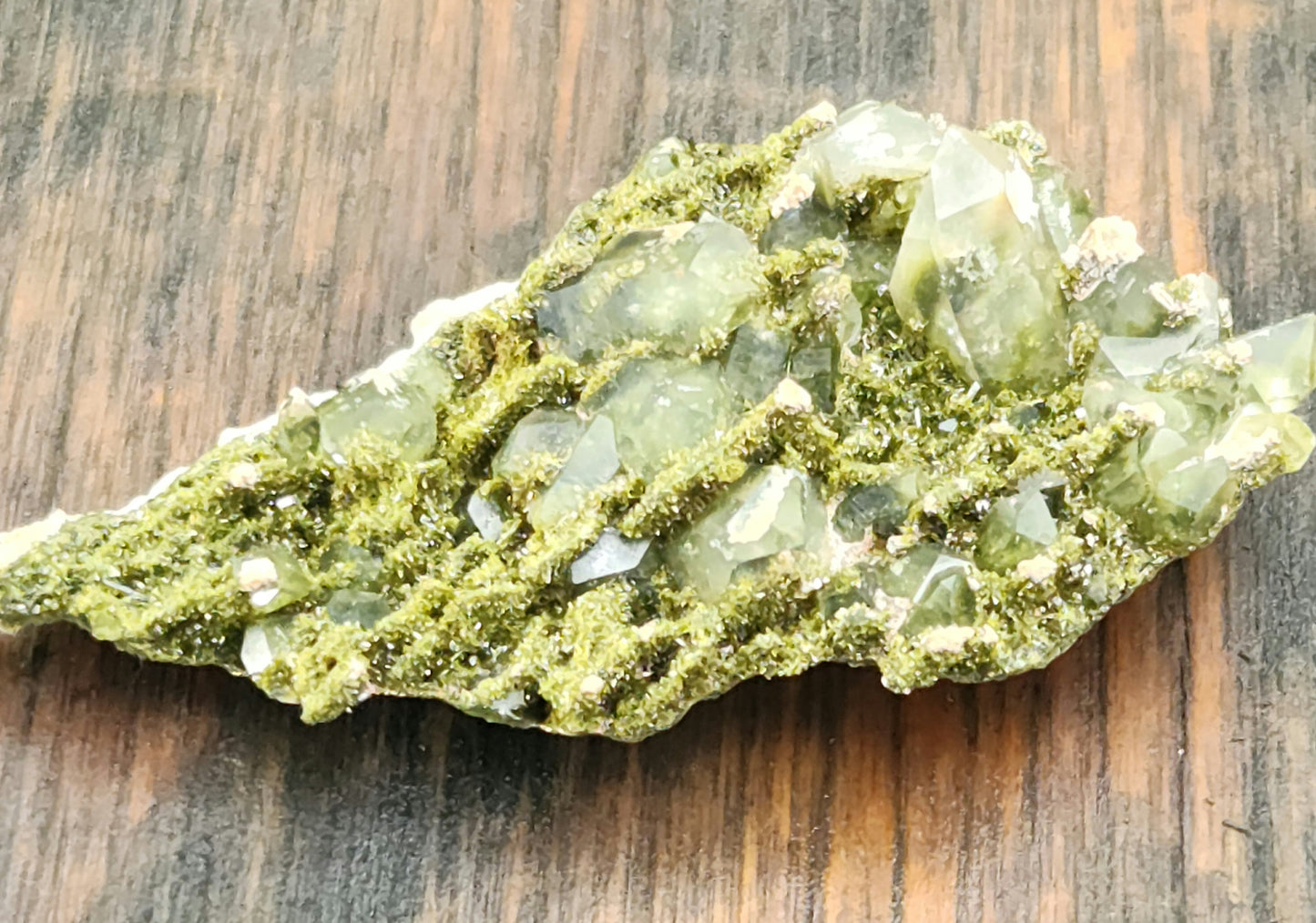 High Grade Forest Epidote with Quartz (Fairy Forest Epidote) - Hakkari, Turkey ItemSP453
