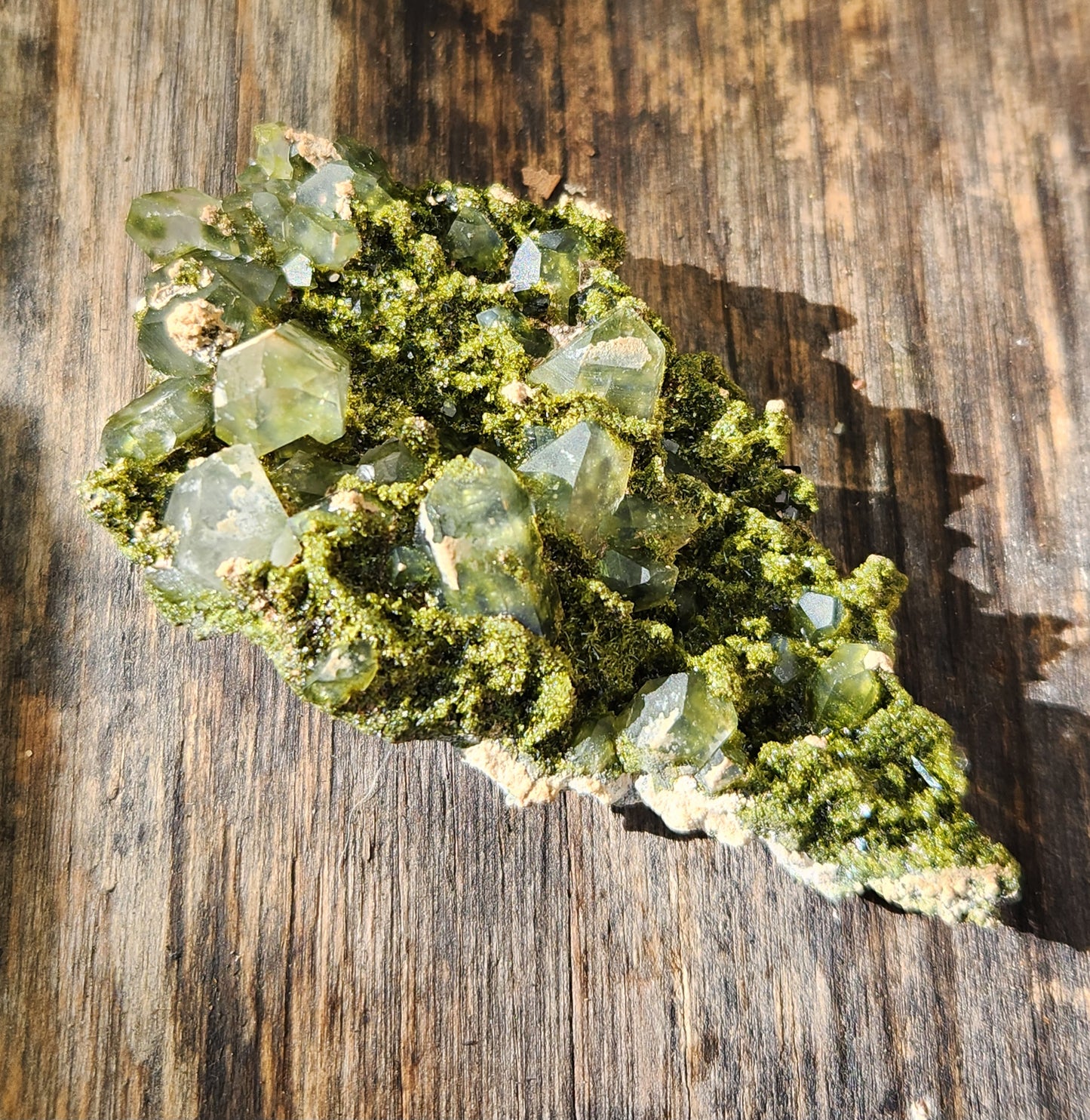 High Grade Forest Epidote with Quartz (Fairy Forest Epidote) - Hakkari, Turkey ItemSP453