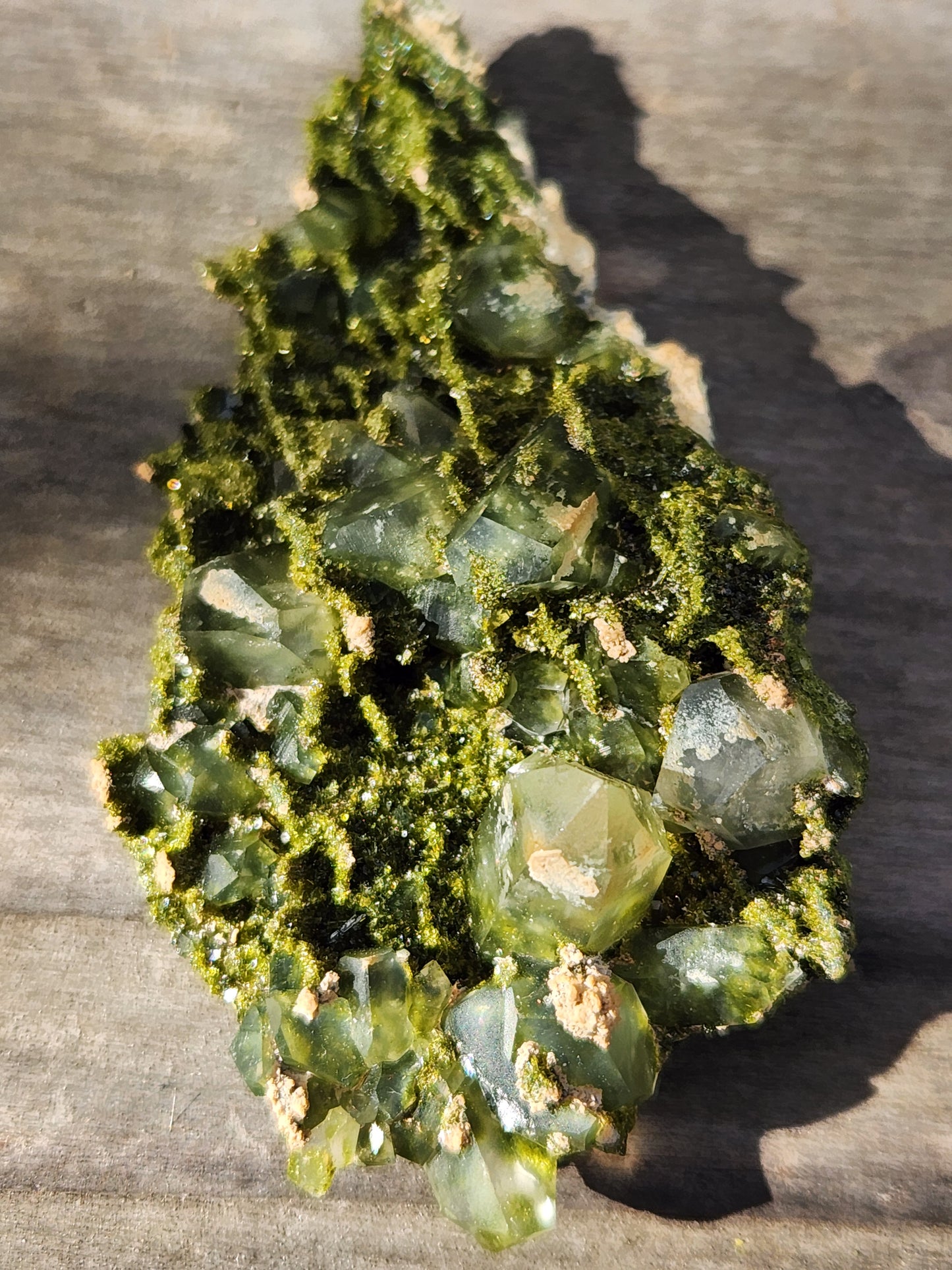 High Grade Forest Epidote with Quartz (Fairy Forest Epidote) - Hakkari, Turkey ItemSP453