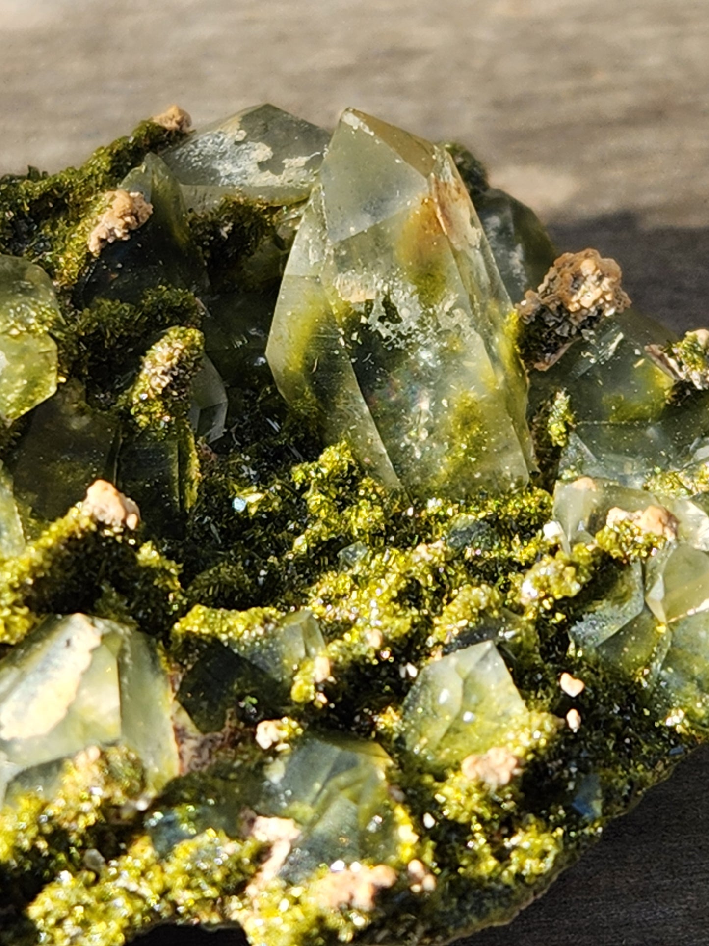 High Grade Forest Epidote with Quartz (Fairy Forest Epidote) - Hakkari, Turkey ItemSP453