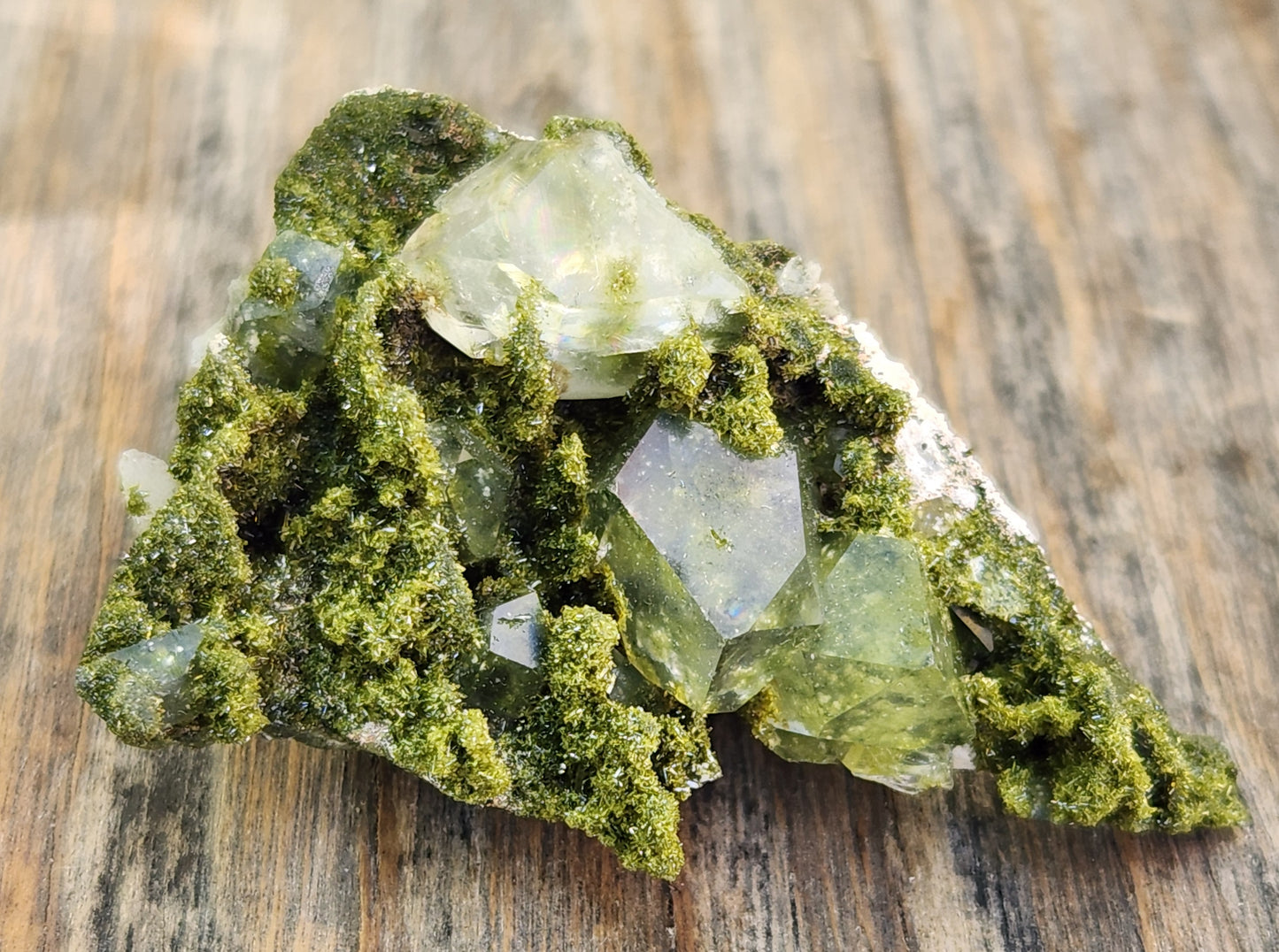 High Grade Forest Epidote with Quartz (Fairy Forest Epidote) - Hakkari, Turkey ItemSP456