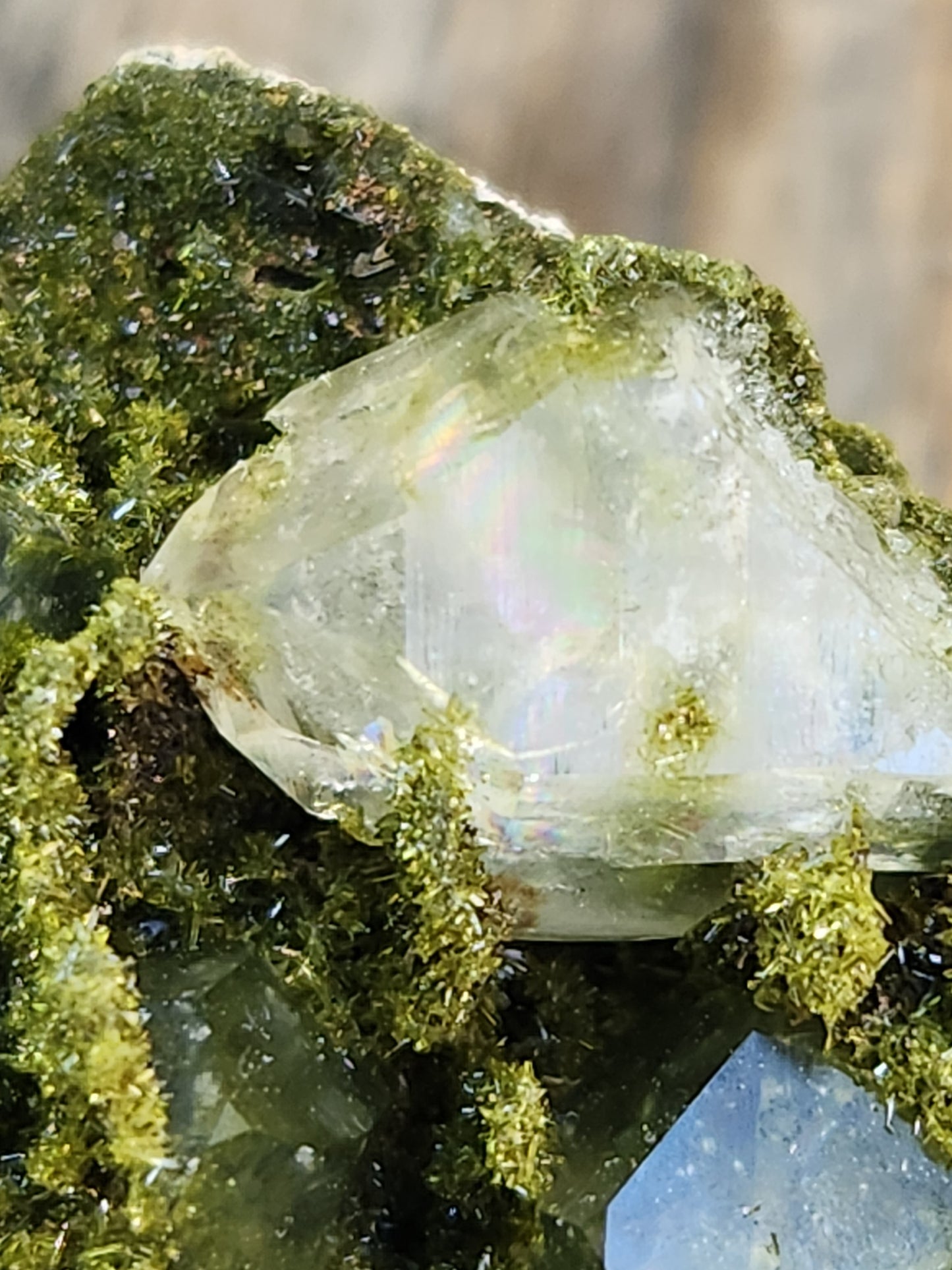 High Grade Forest Epidote with Quartz (Fairy Forest Epidote) - Hakkari, Turkey ItemSP456