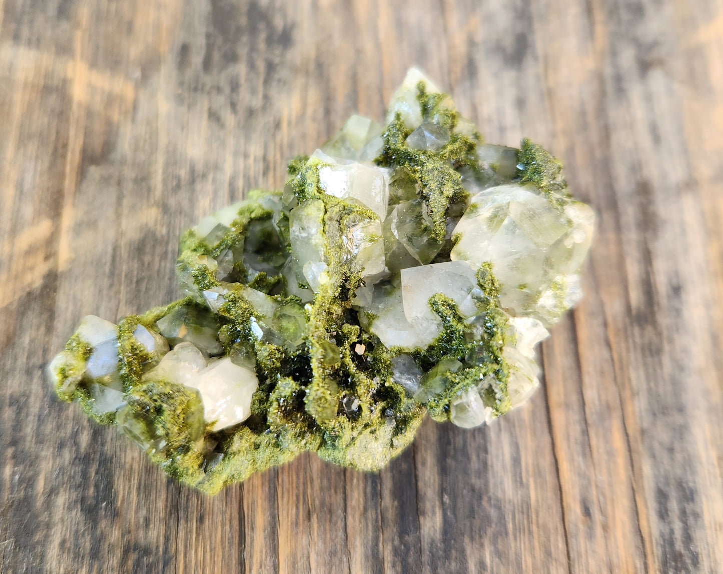 High Grade Forest Epidote with Quartz (Fairy Forest Epidote) - Hakkari, Turkey ItemSP452
