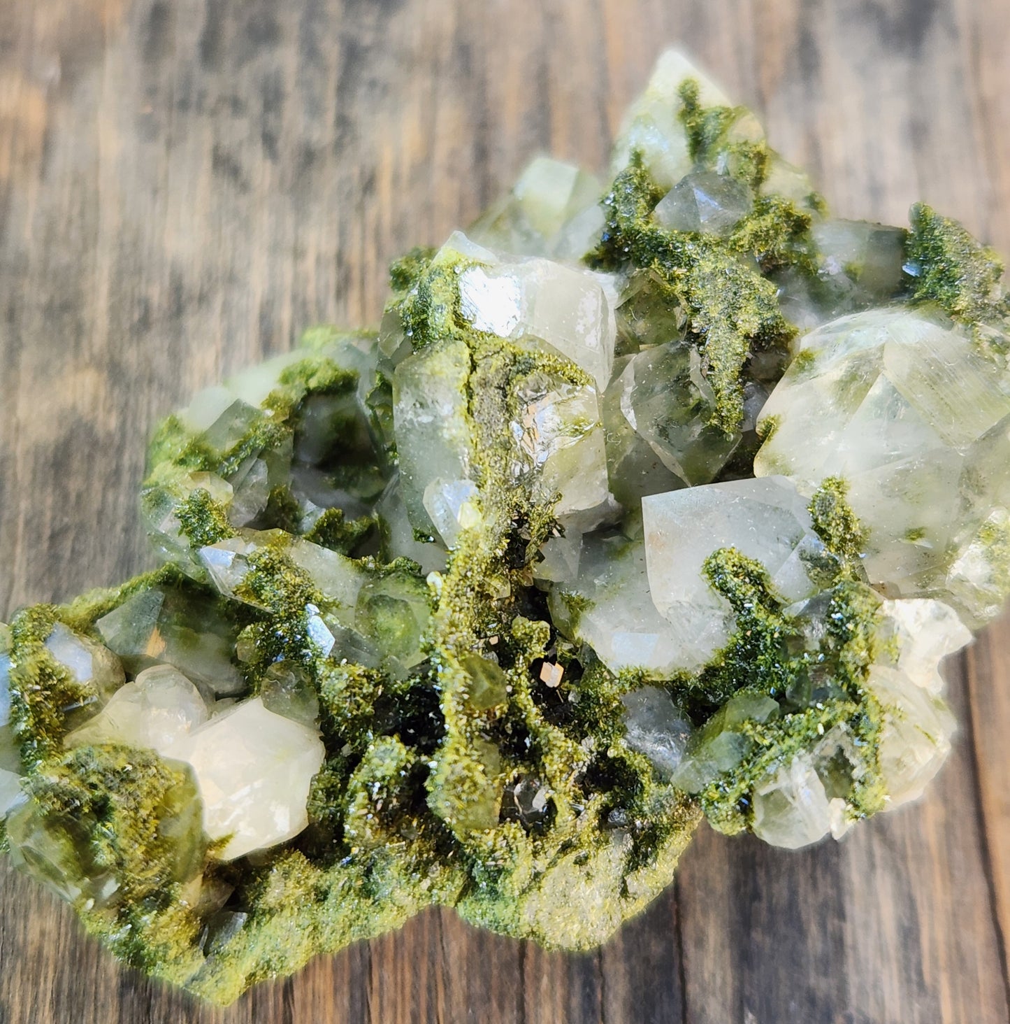 High Grade Forest Epidote with Quartz (Fairy Forest Epidote) - Hakkari, Turkey ItemSP452