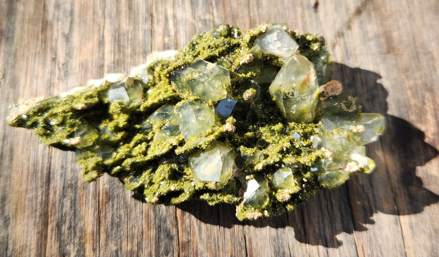 High Grade Forest Epidote with Quartz (Fairy Forest Epidote) - Hakkari, Turkey ItemSP453