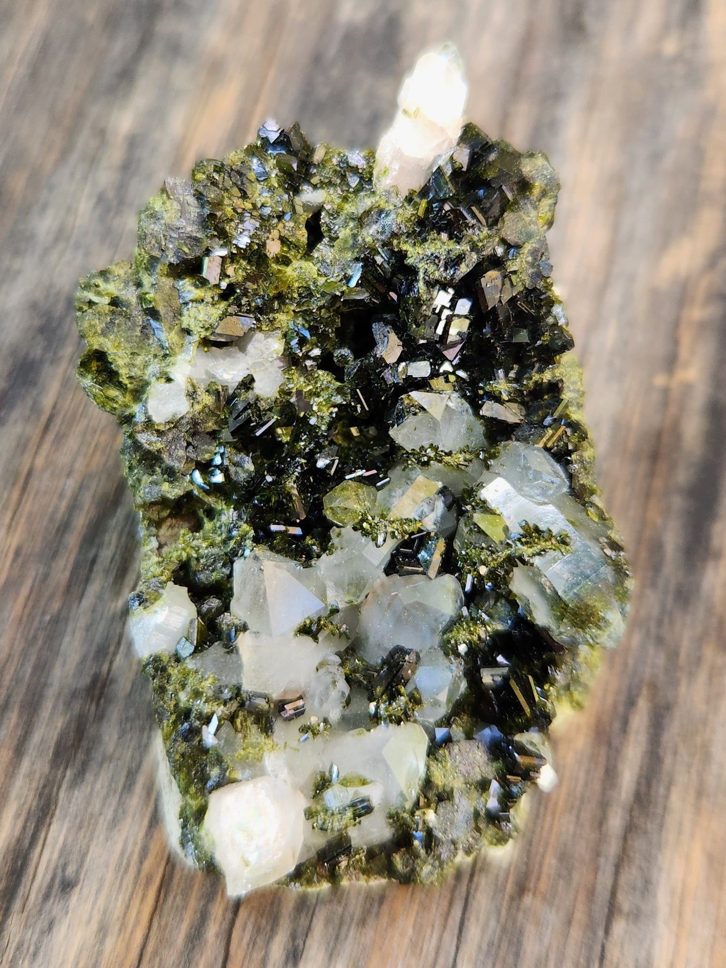 High Grade Forest Epidote with Quartz (Fairy Forest Epidote) - Hakkari, Turkey ItemSP454