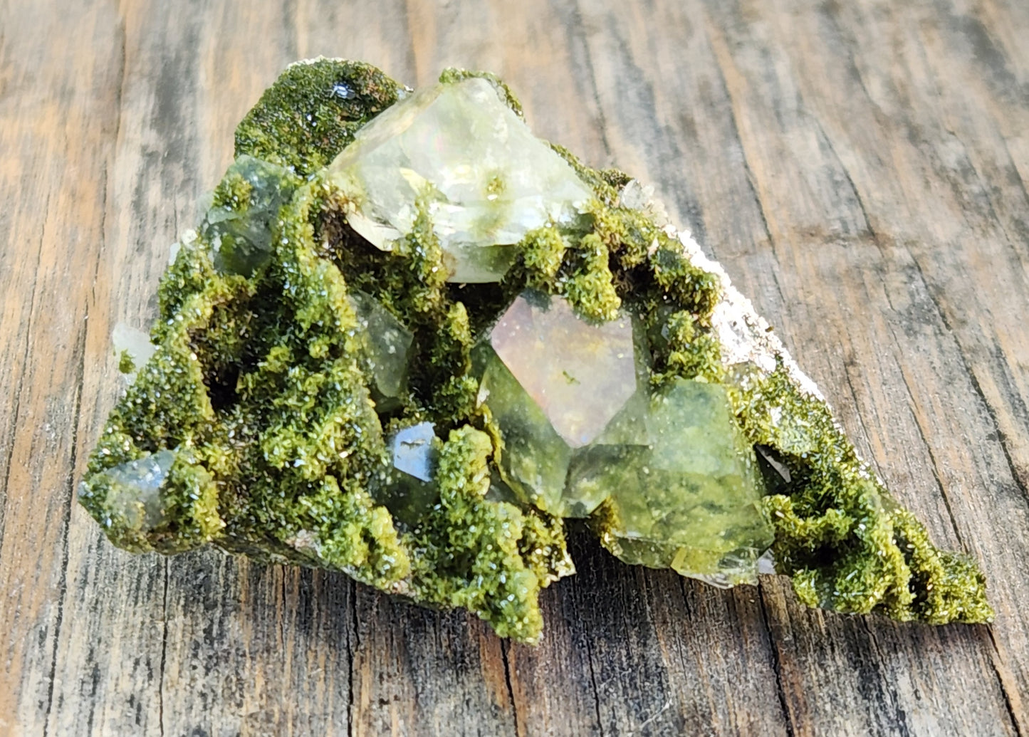 High Grade Forest Epidote with Quartz (Fairy Forest Epidote) - Hakkari, Turkey ItemSP456