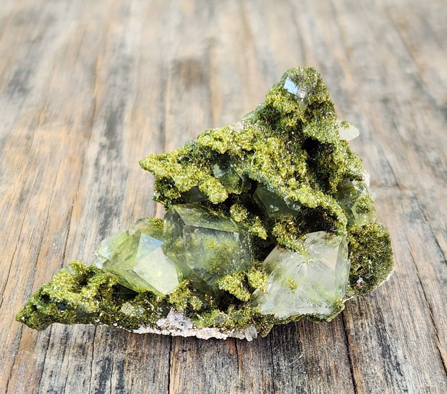 High Grade Forest Epidote with Quartz (Fairy Forest Epidote) - Hakkari, Turkey ItemSP456