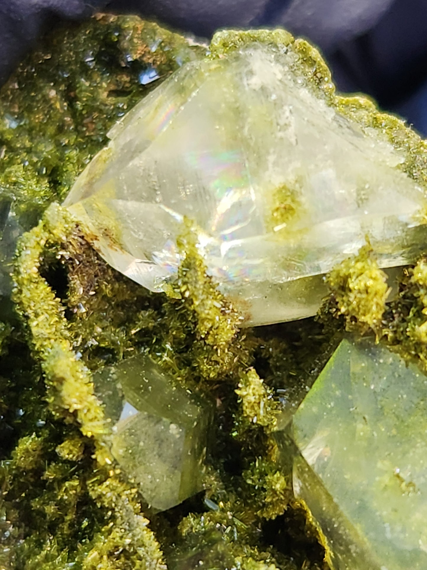 High Grade Forest Epidote with Quartz (Fairy Forest Epidote) - Hakkari, Turkey ItemSP456