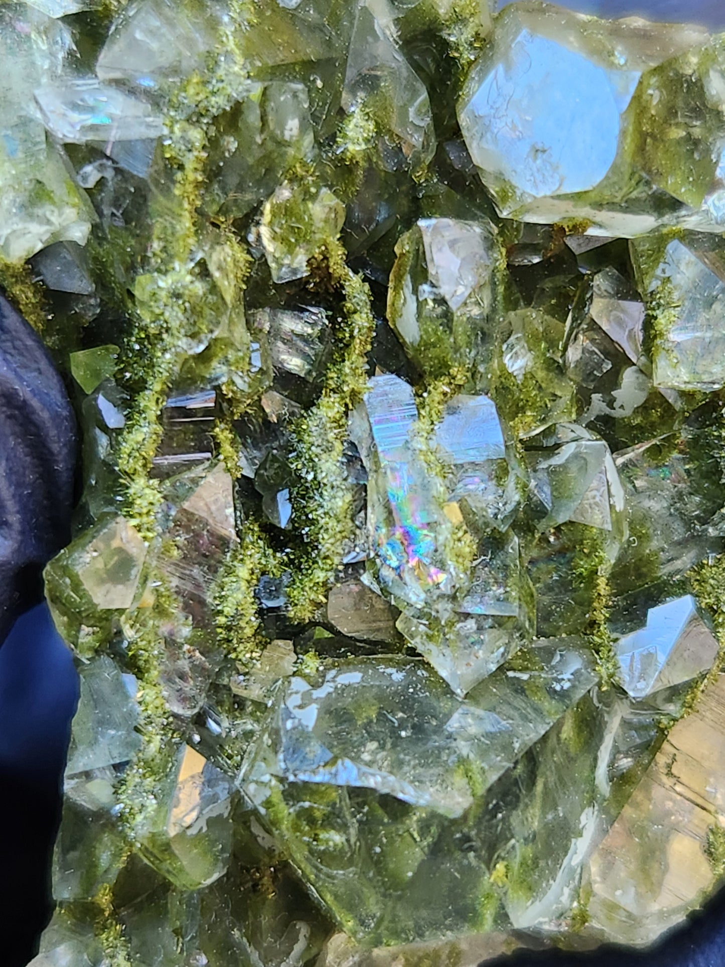 High Grade Forest Epidote with Quartz (Fairy Forest Epidote) Rainbows All Over! Hakkari, Turkey ItemSP457