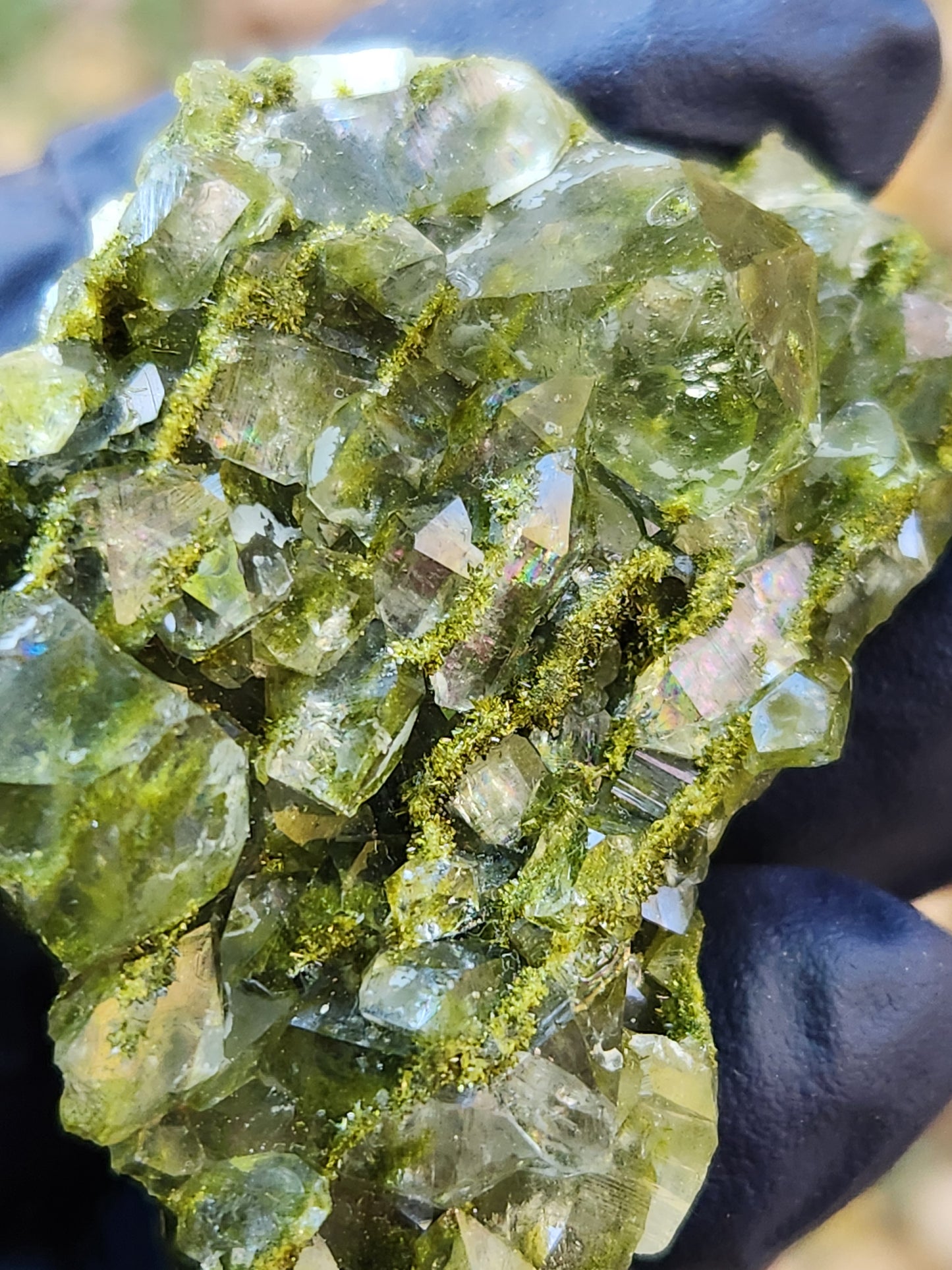 High Grade Forest Epidote with Quartz (Fairy Forest Epidote) Rainbows All Over! Hakkari, Turkey ItemSP457