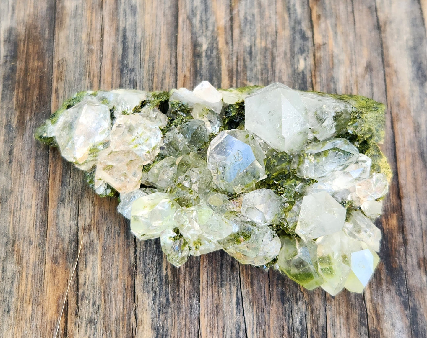 High Grade Forest Epidote with Quartz (Fairy Forest Epidote) Hakkari, Turkey ItemSP458