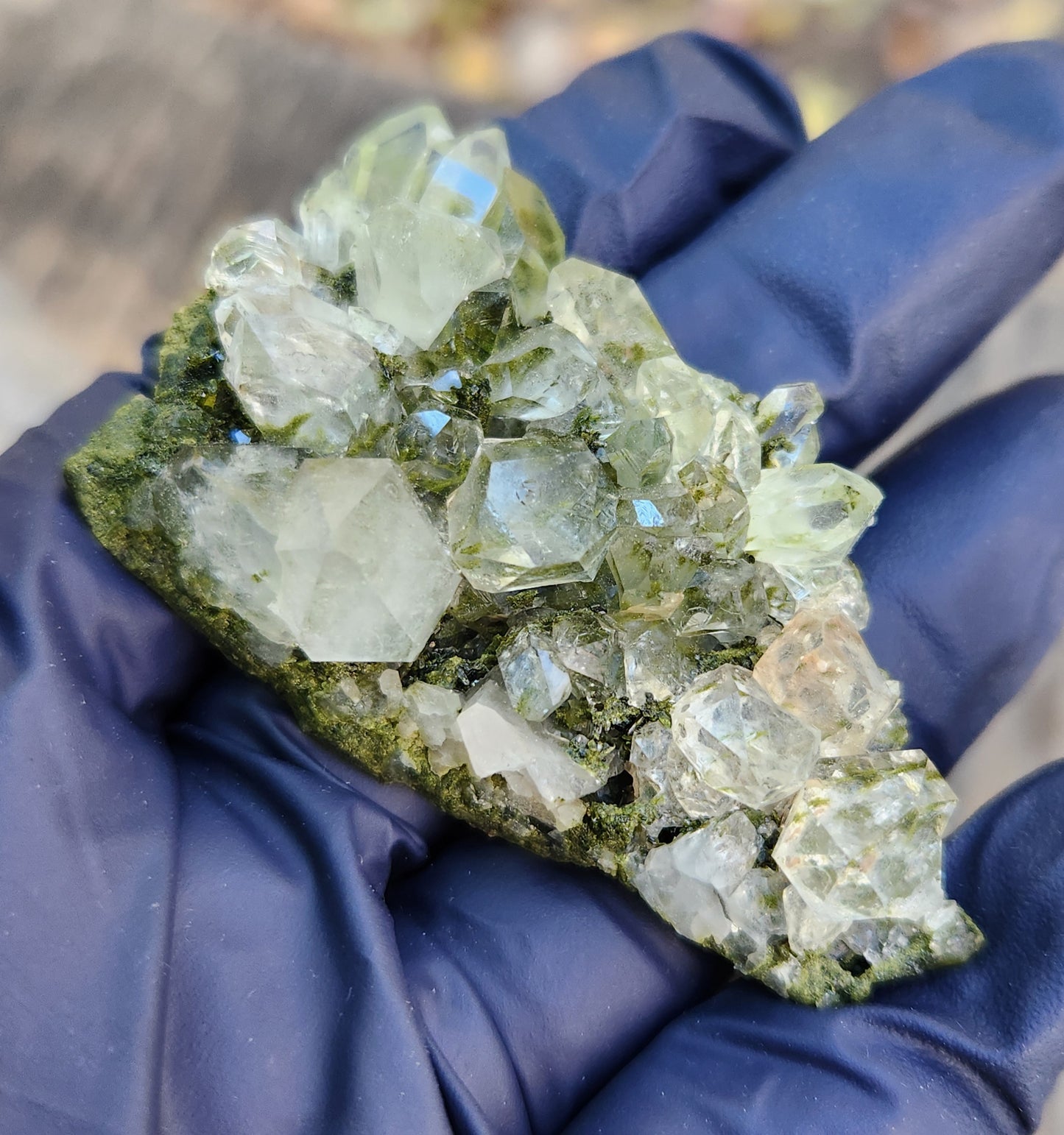 High Grade Forest Epidote with Quartz (Fairy Forest Epidote) Hakkari, Turkey ItemSP458