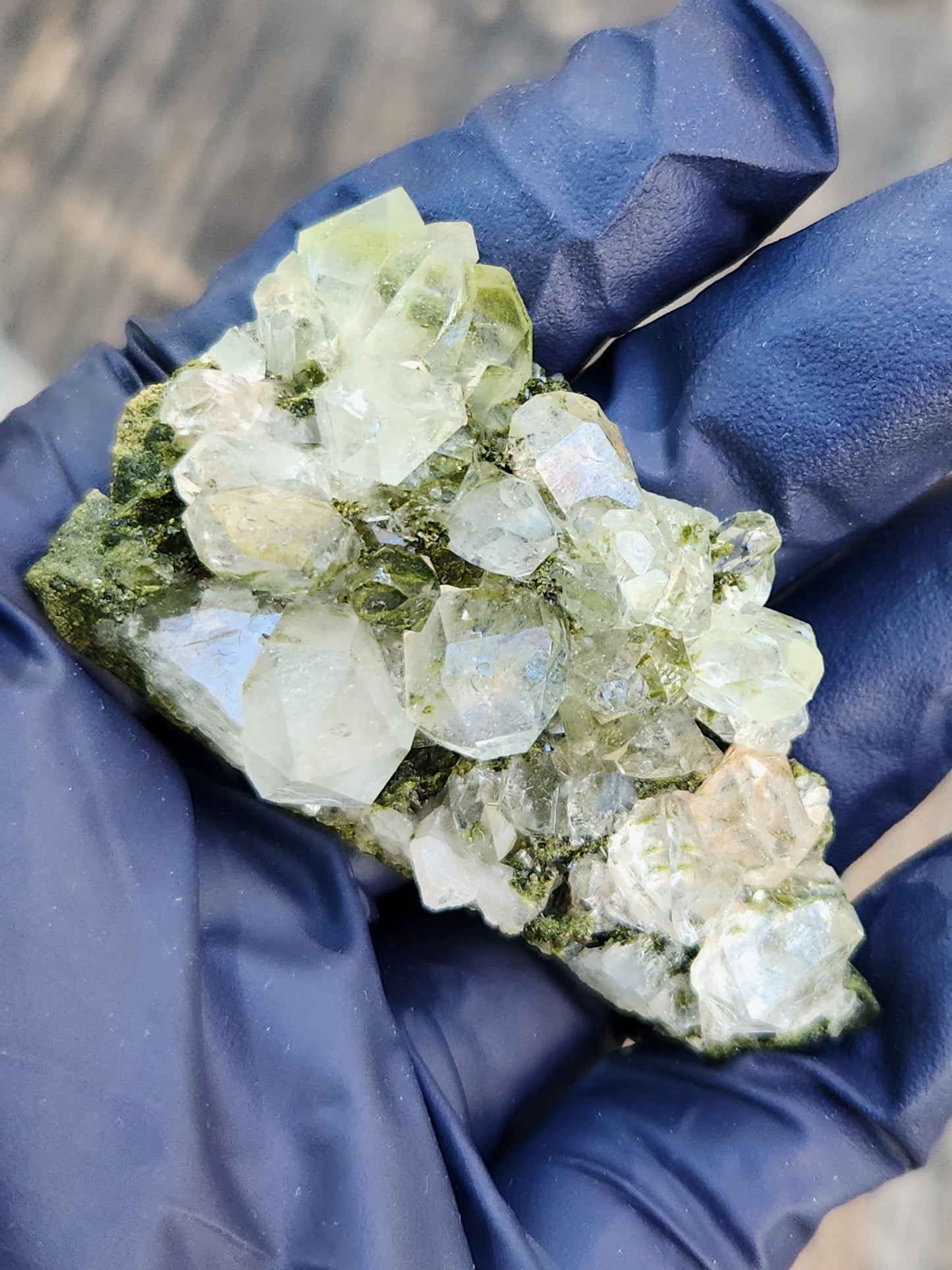 High Grade Forest Epidote with Quartz (Fairy Forest Epidote) Hakkari, Turkey ItemSP458