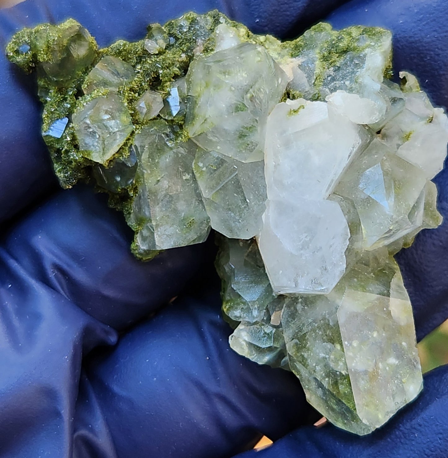 High Grade Forest Epidote with Quartz (Fairy Forest Epidote) Hakkari, Turkey ItemSP459