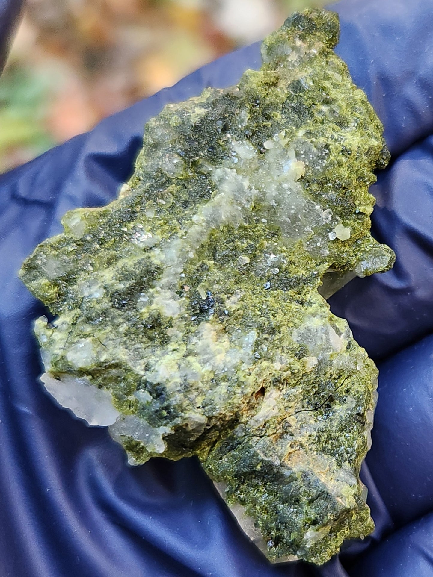 High Grade Forest Epidote with Quartz (Fairy Forest Epidote) Hakkari, Turkey ItemSP459