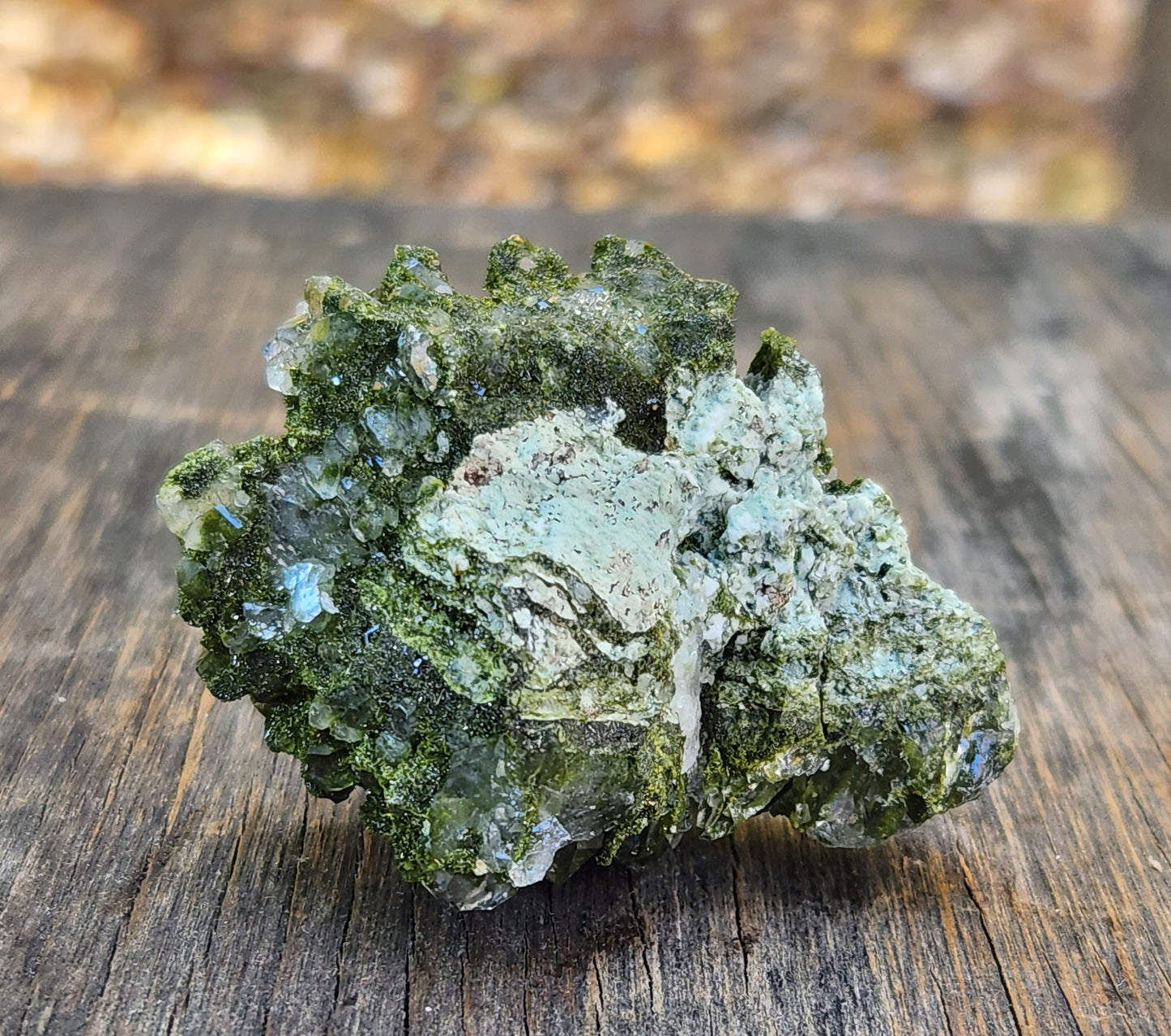 High Grade Forest Epidote with Quartz (Fairy Forest Epidote) Hakkari, Turkey ItemSP460