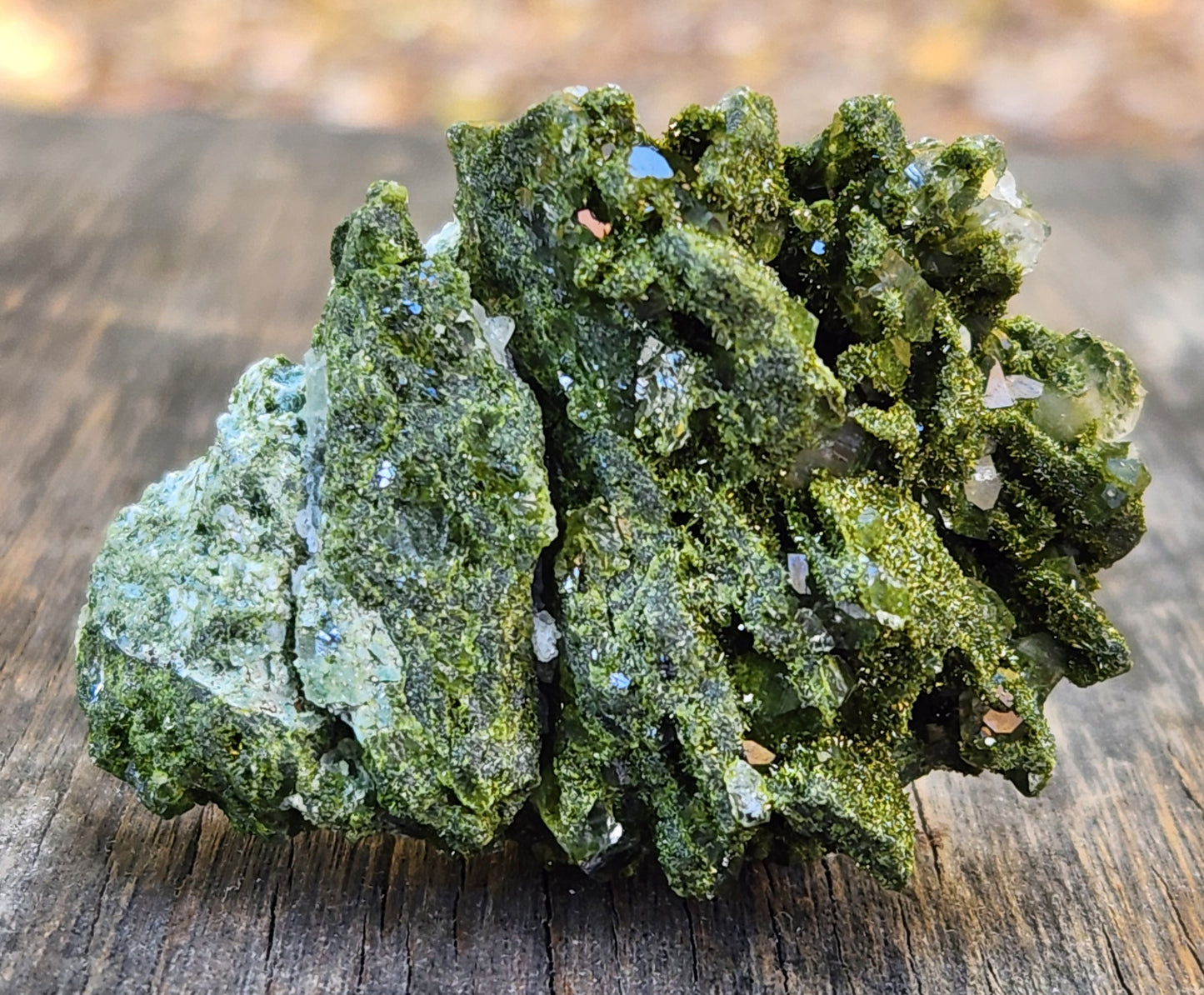 High Grade Forest Epidote with Quartz (Fairy Forest Epidote) Hakkari, Turkey ItemSP460