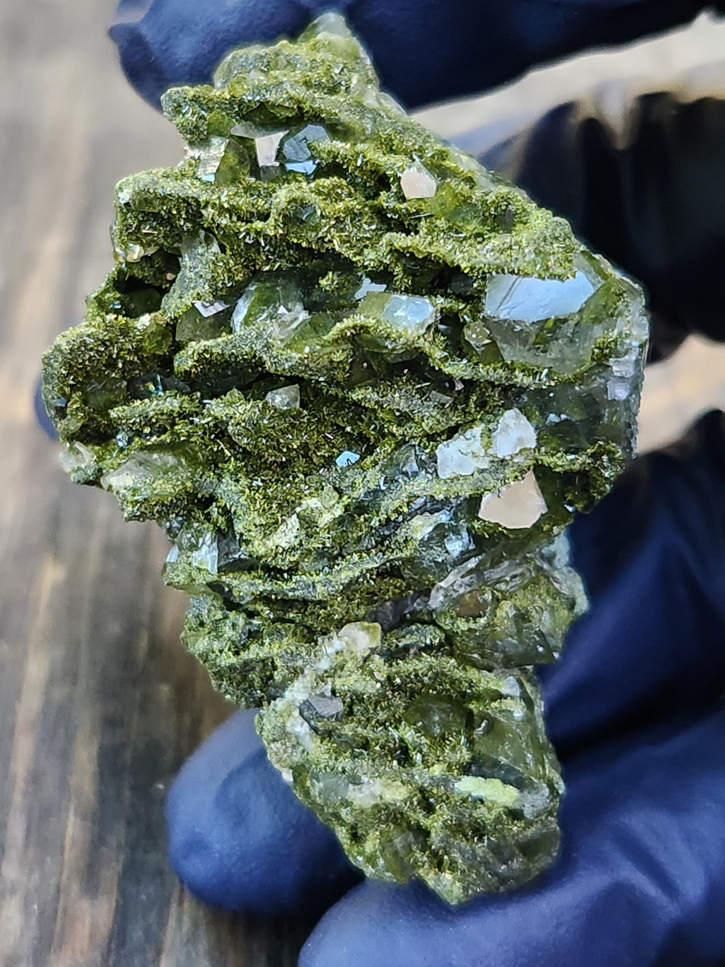 High Grade Forest Epidote with Quartz (Fairy Forest Epidote) Hakkari, Turkey ItemSP460