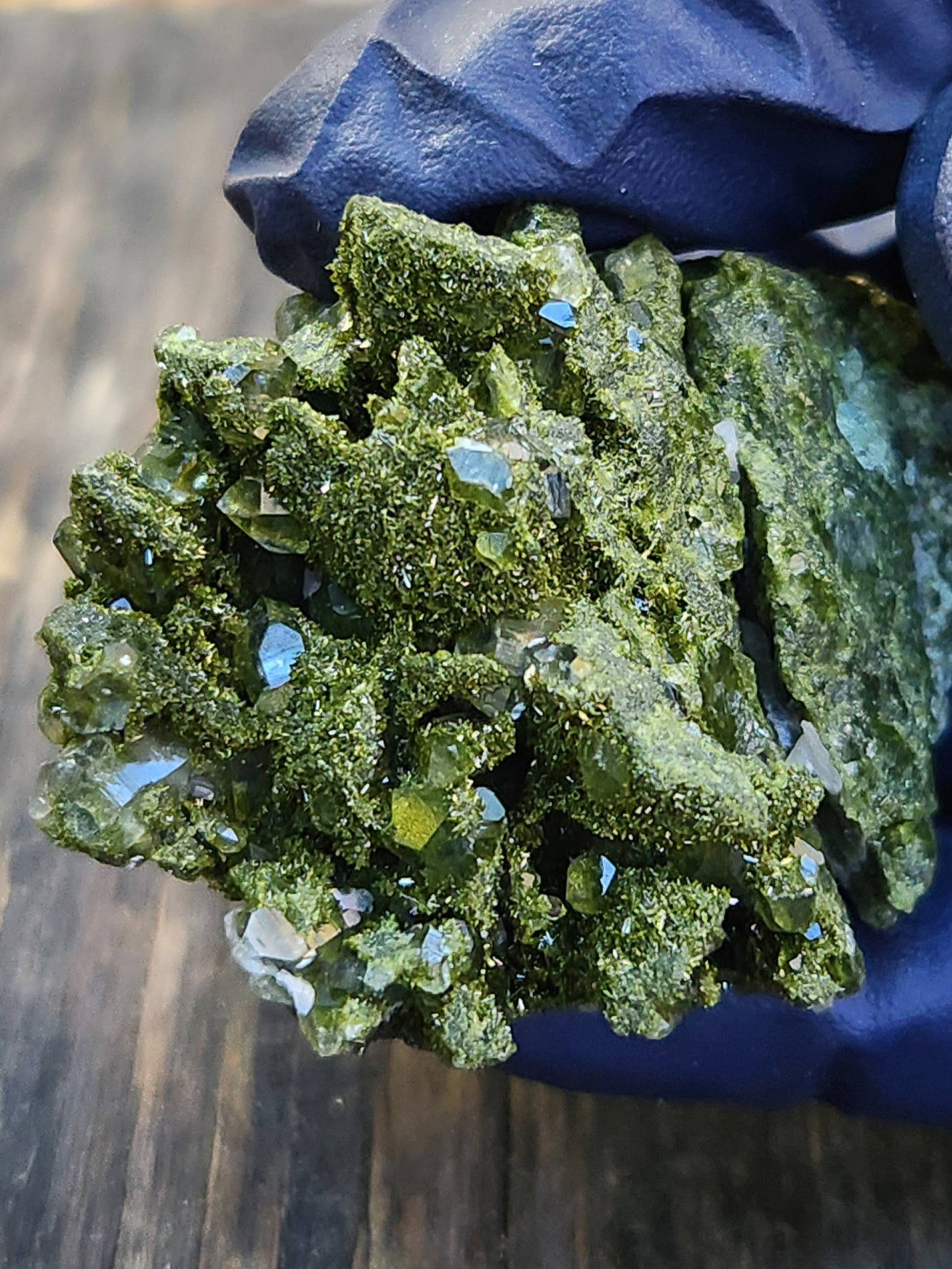 High Grade Forest Epidote with Quartz (Fairy Forest Epidote) Hakkari, Turkey ItemSP460