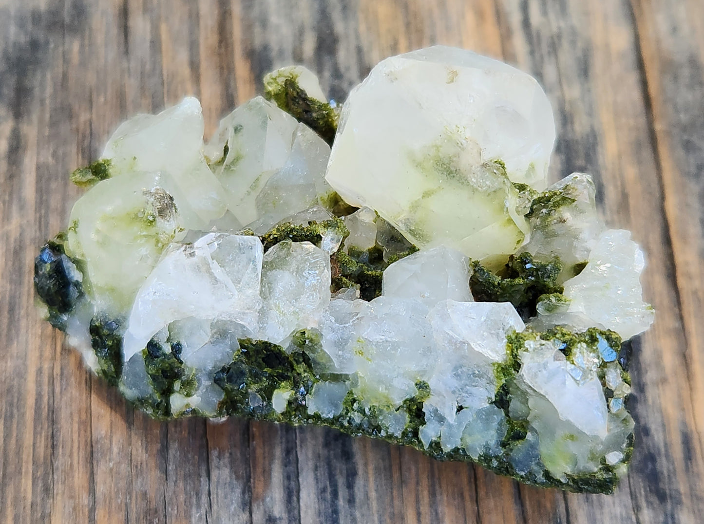 High Grade Forest Epidote with Quartz (Fairy Forest Epidote) Hakkari, Turkey ItemSP461