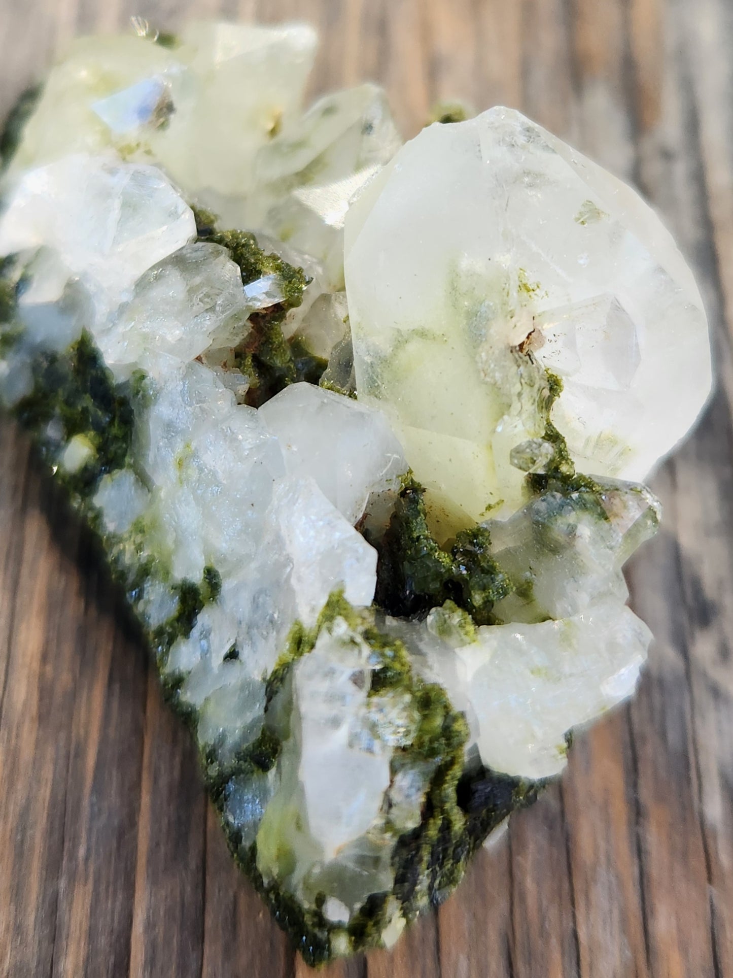 High Grade Forest Epidote with Quartz (Fairy Forest Epidote) Hakkari, Turkey ItemSP461