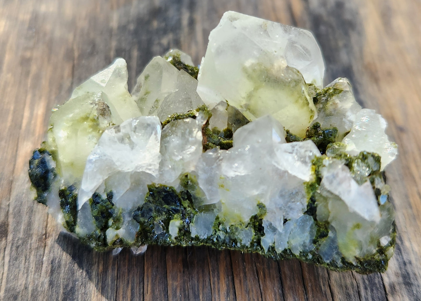 High Grade Forest Epidote with Quartz (Fairy Forest Epidote) Hakkari, Turkey ItemSP461