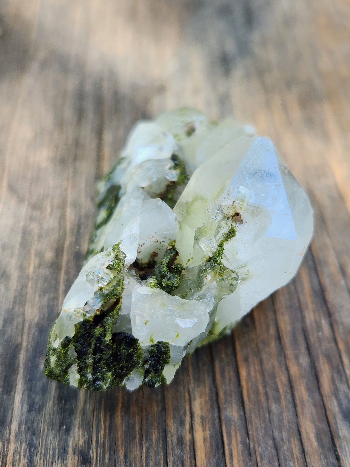 High Grade Forest Epidote with Quartz (Fairy Forest Epidote) Hakkari, Turkey ItemSP461