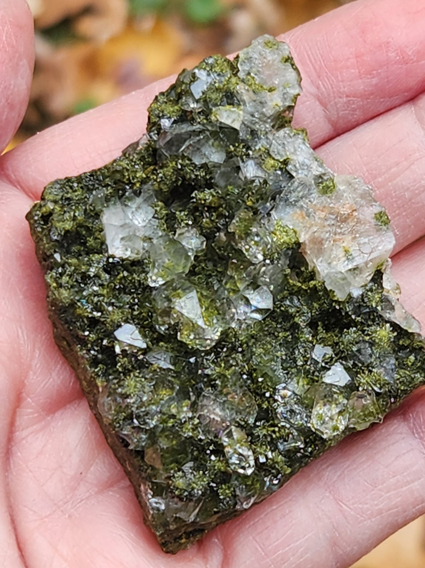 High Grade Forest Epidote with Quartz (Fairy Forest Epidote) Hakkari, Turkey ItemSP465