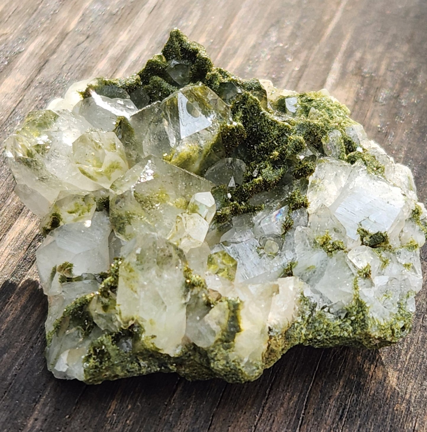High Grade Forest Epidote with Quartz (Fairy Forest Epidote) Hakkari, Turkey ItemSP467
