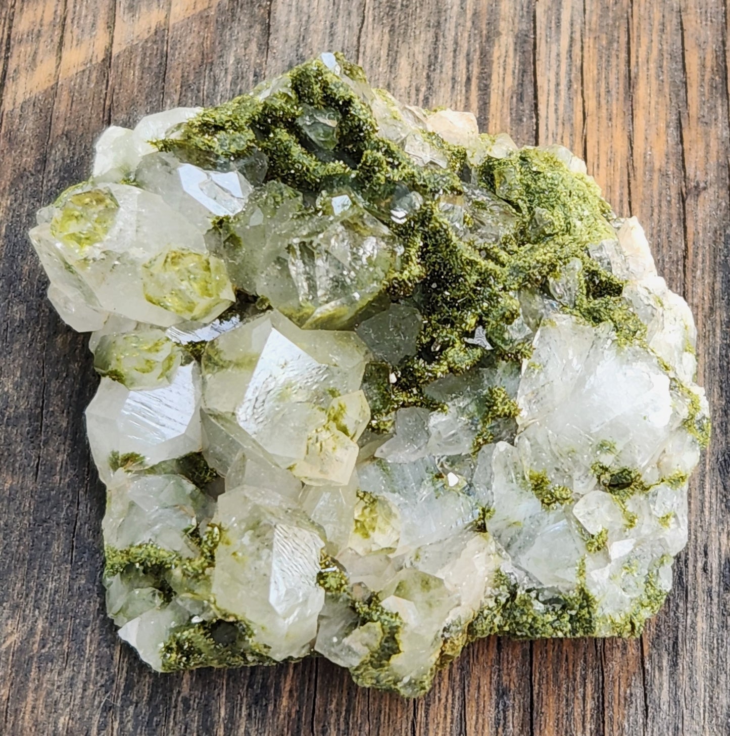 High Grade Forest Epidote with Quartz (Fairy Forest Epidote) Hakkari, Turkey ItemSP467